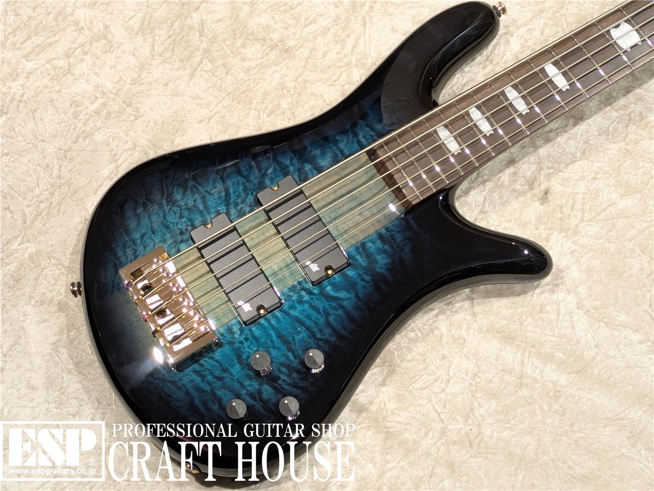 【即納可能】Spector / Icon NS-5 Neck Through / Black and Blue　渋谷店 - 2
