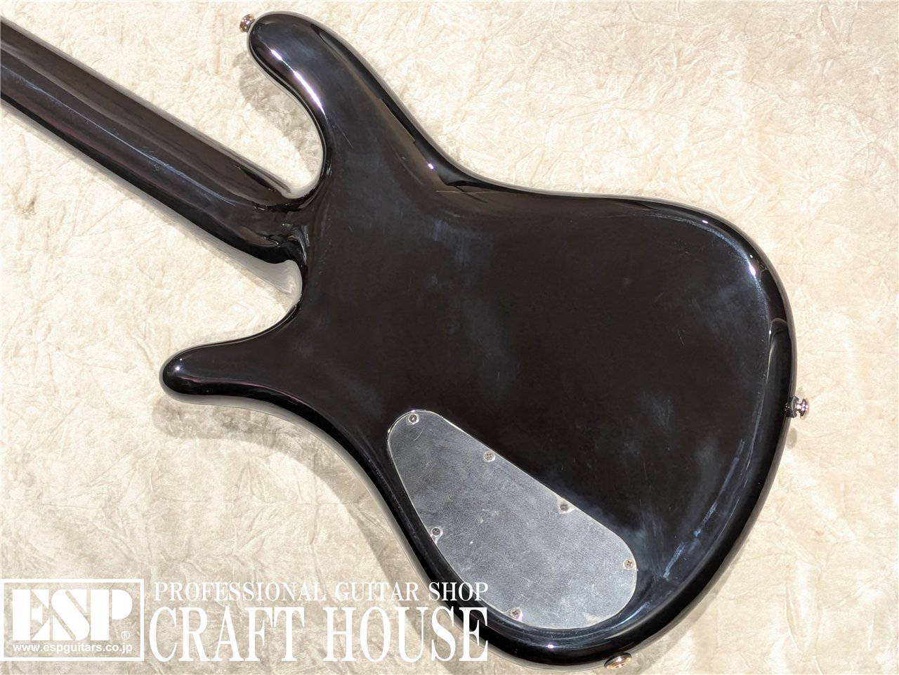 【即納可能】Spector / Icon NS-5 Neck Through / Black and Blue　渋谷店 - 6