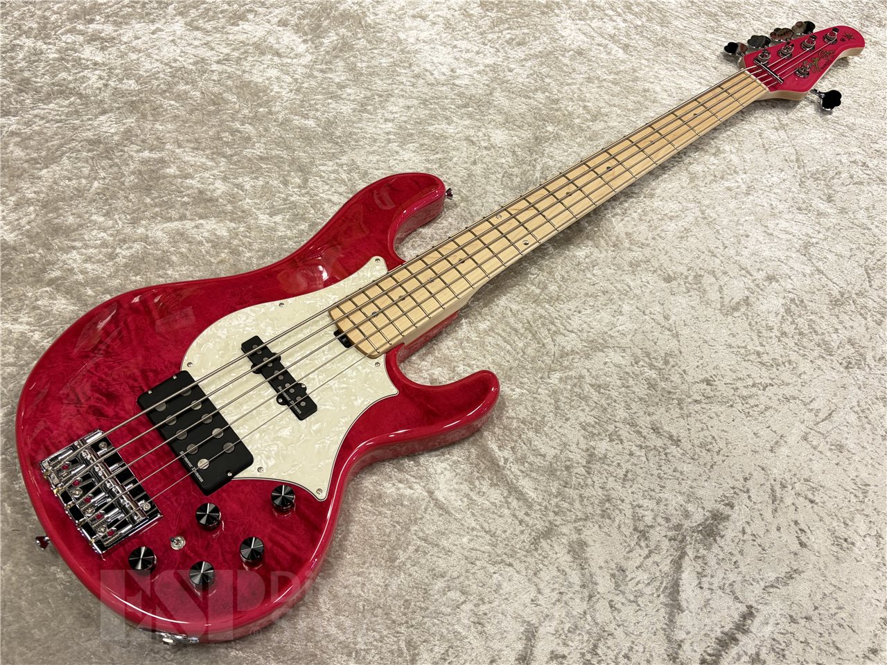 STELLA GEAR | BIGBOSS オンラインマーケット