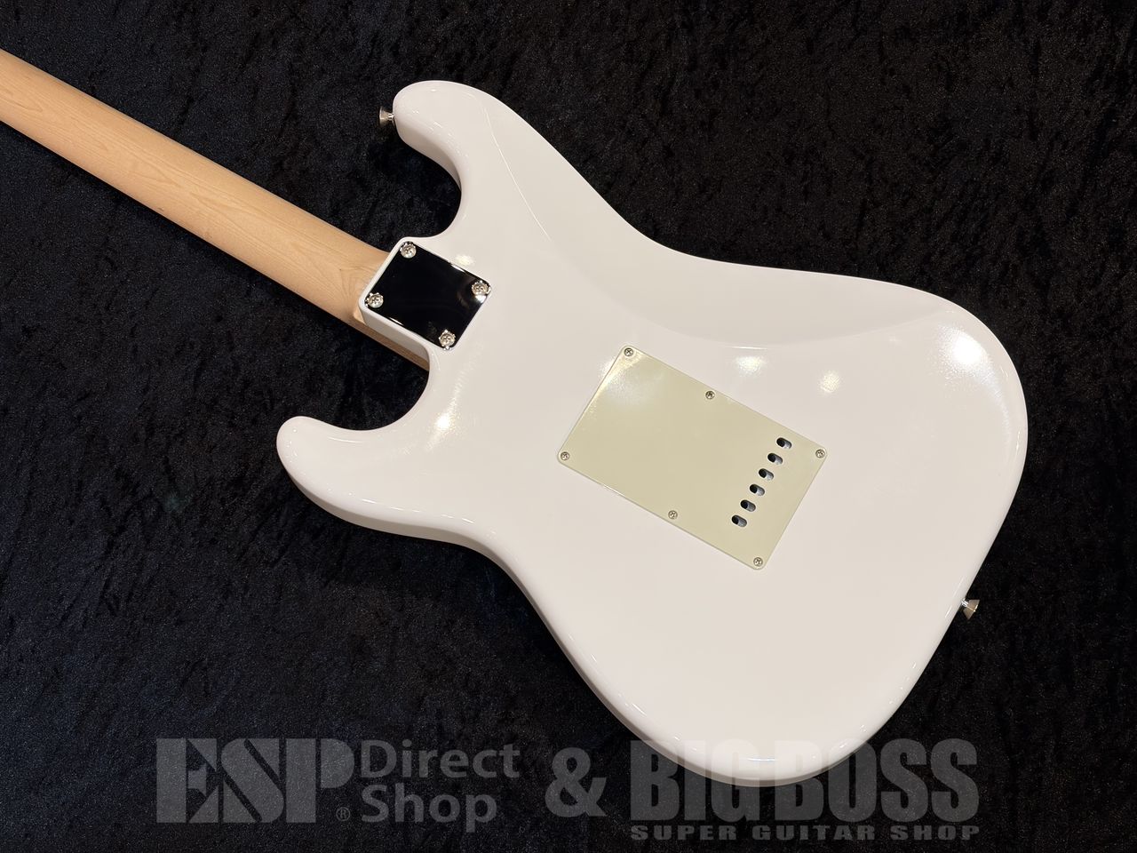 【即納可能】Providence（プロビデンス）pS-204RSC/SS【Vintage White】福岡店 - 8