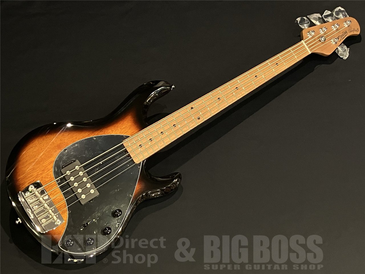 Sterling by MUSICMAN - 【ESP直営】BIGBOSS オンライン
