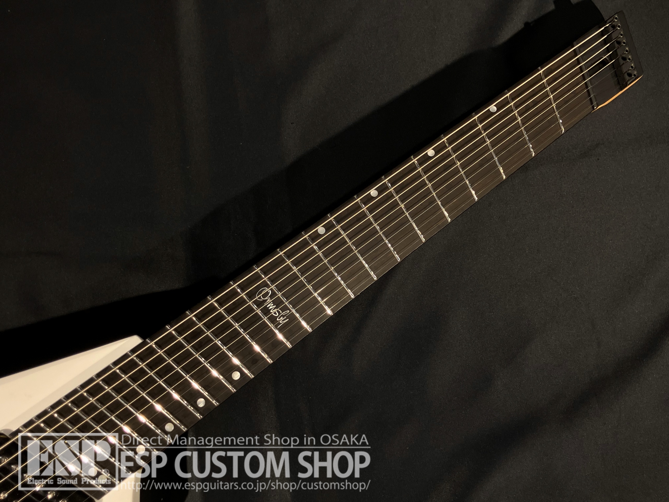 【即納可能】Ormsby Guitars METAL V HL G8 SA / EWT 大阪店