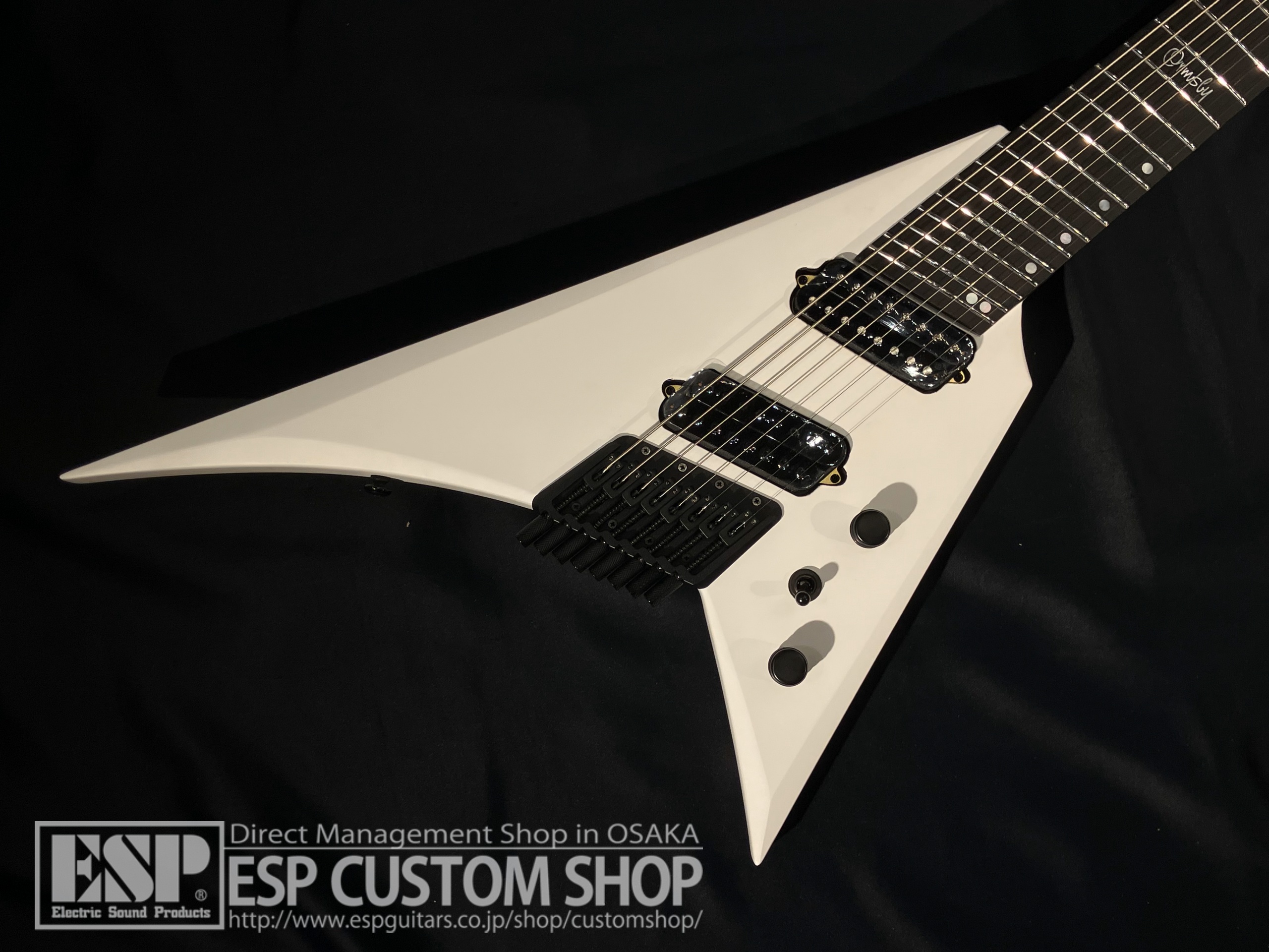 【即納可能】Ormsby Guitars METAL V HL G8 SA / EWT 大阪店