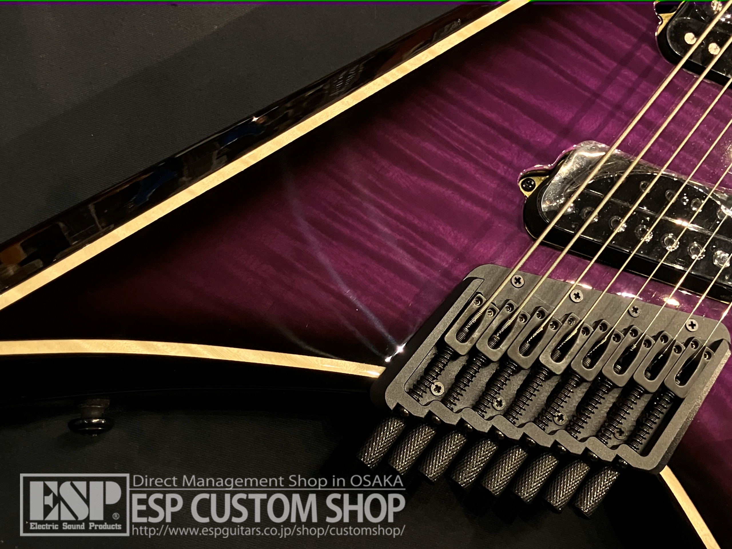 【即納可能】Ormsby Guitars METAL V HL G8 FMSA / PP 大阪店