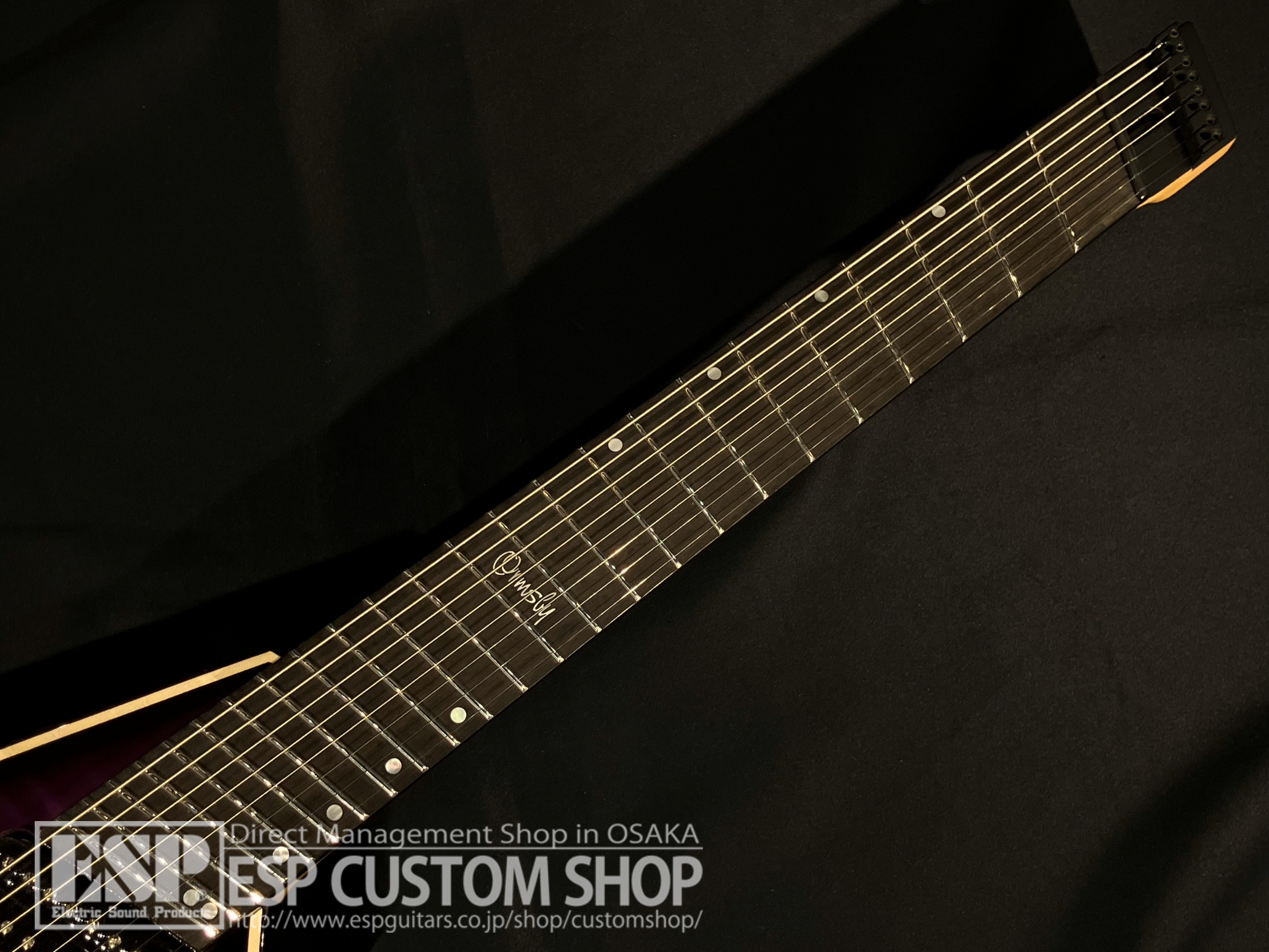 【即納可能】Ormsby Guitars METAL V HL G8 FMSA / PP 大阪店