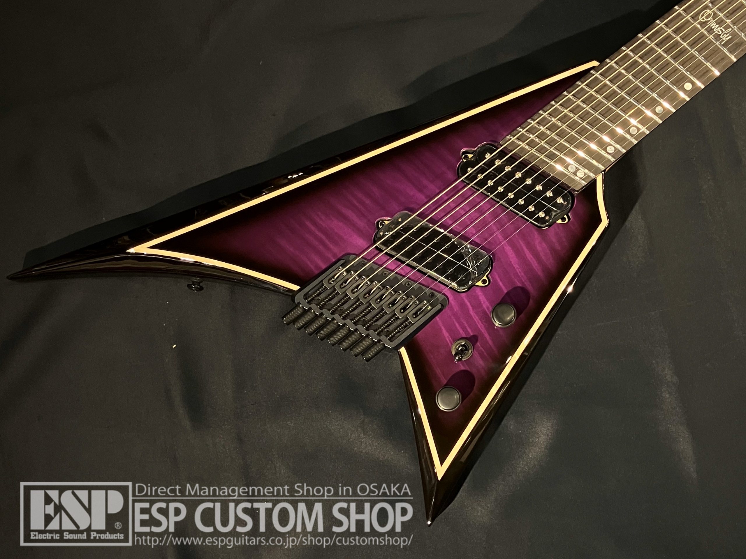 【即納可能】Ormsby Guitars METAL V HL G8 FMSA / PP 大阪店