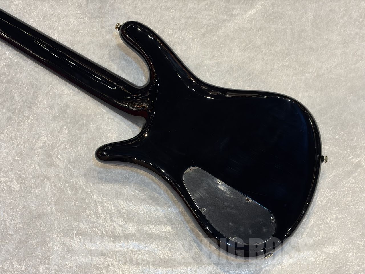 【即納可能】Spector（スペクター）  Icon NS-5 Neck-Thru【Haunted Moss】福岡店 - 8
