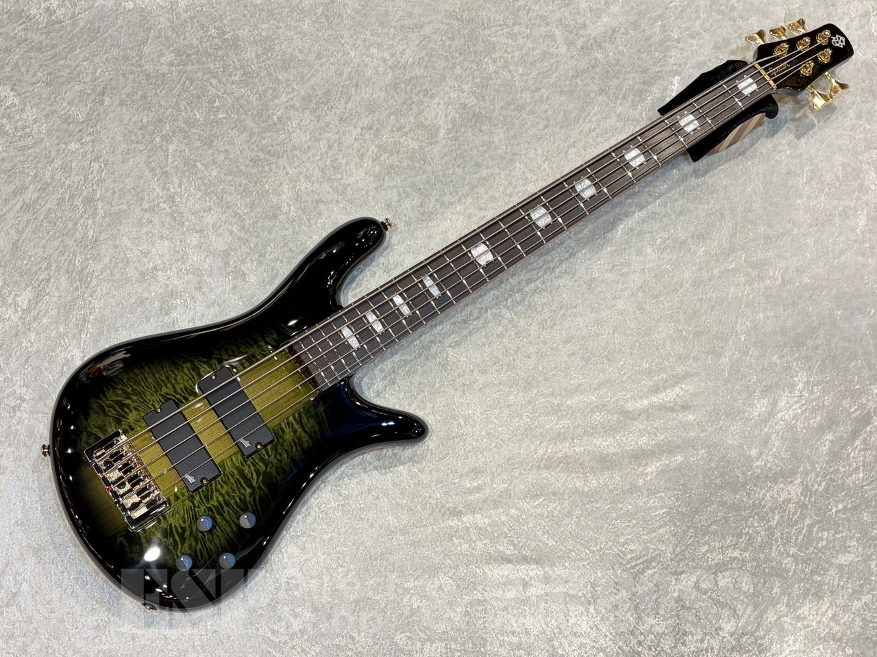 【即納可能】Spector（スペクター）  Icon NS-5 Neck-Thru【Haunted Moss】福岡店