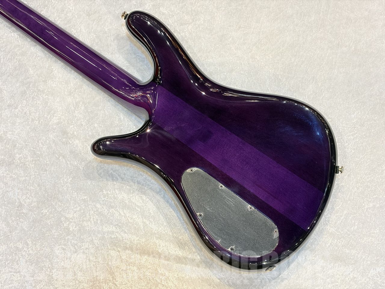 【即納可能】Spector（スペクター）Icon NS-2 Neck-Thru【Purple Cherry】福岡店 - 8