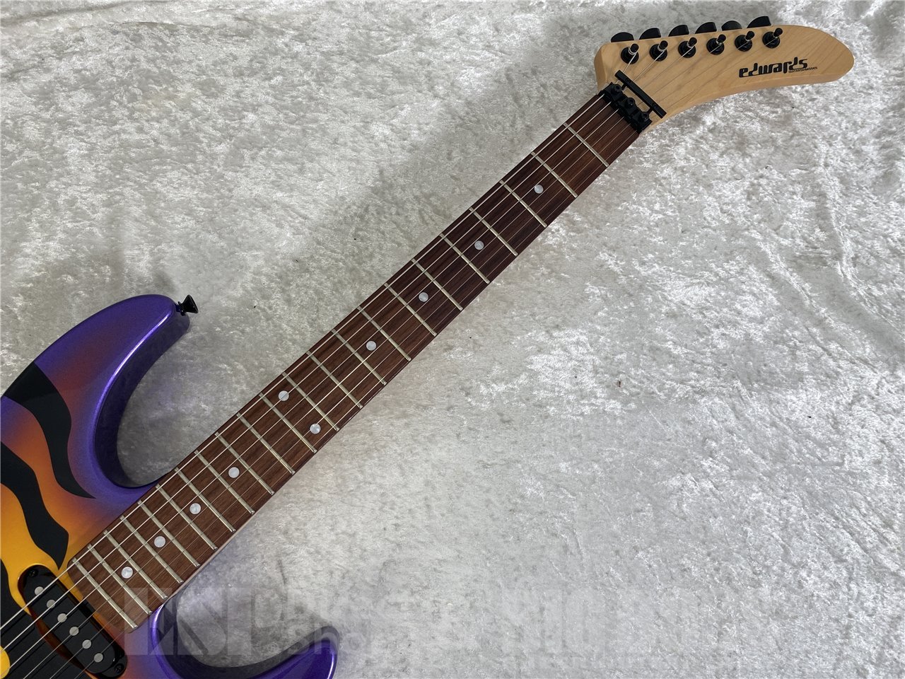 【即納可能】EDWARDS E-PURPLE TIGER (Purple Sunburst Tiger Graphic)お茶の水駅前店(東京)