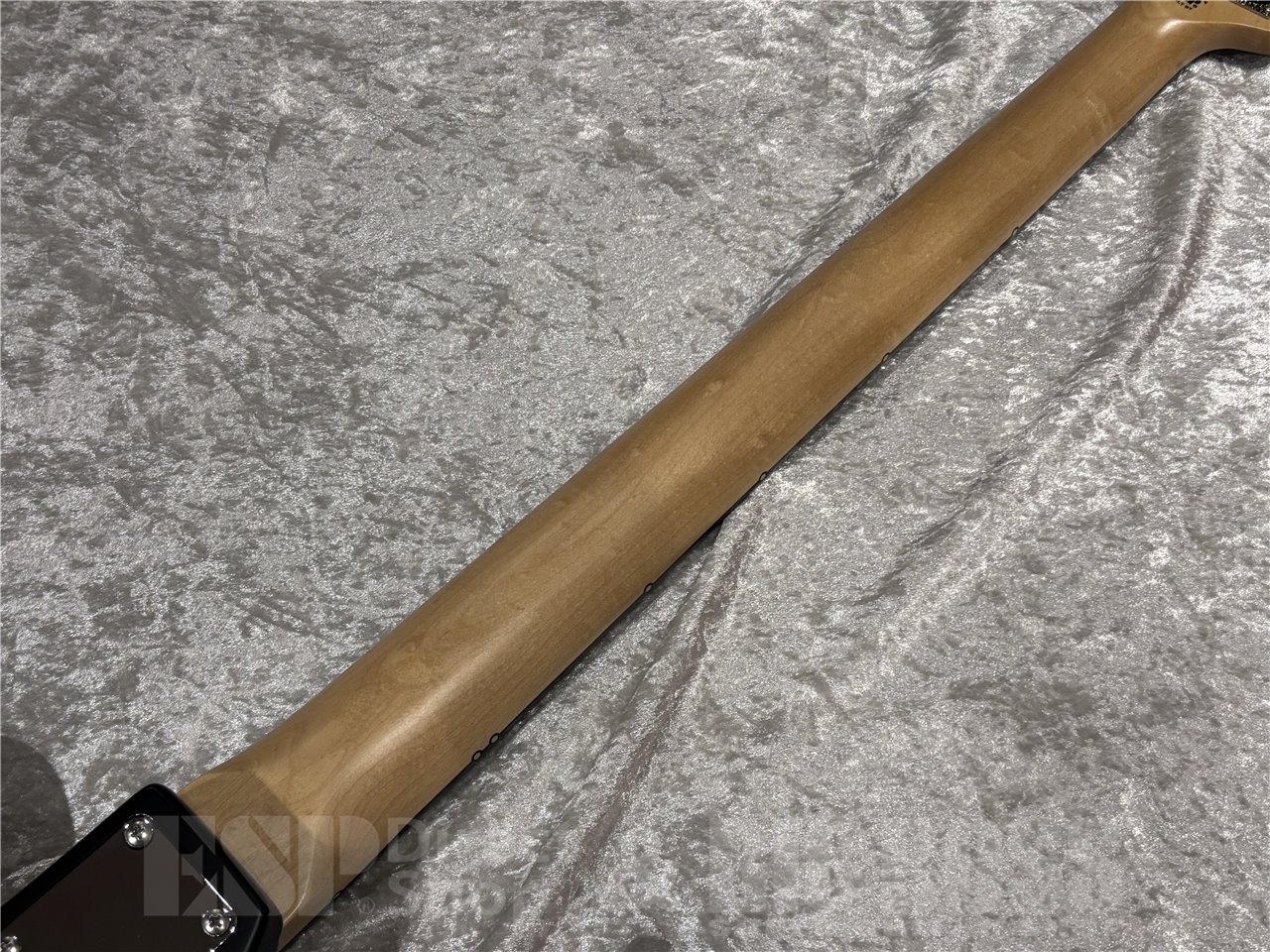 【即納可能】EDWARDS Platinum Edition(エドワーズプラチナムエディション) E-HTB-01 (The Novembers, Petit Brabancon/高松浩史モデル) 広島店