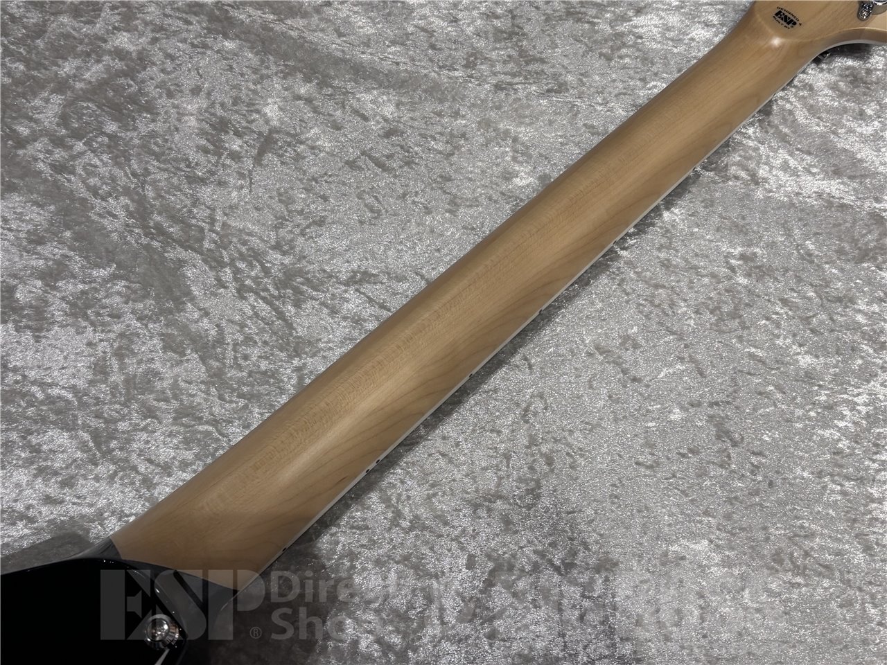 【即納可能】EDWARDS(エドワーズ) E-ALEXI SAWTOOTH /  Black with White Pin Stripe (Alexi Laiho Model) 広島店