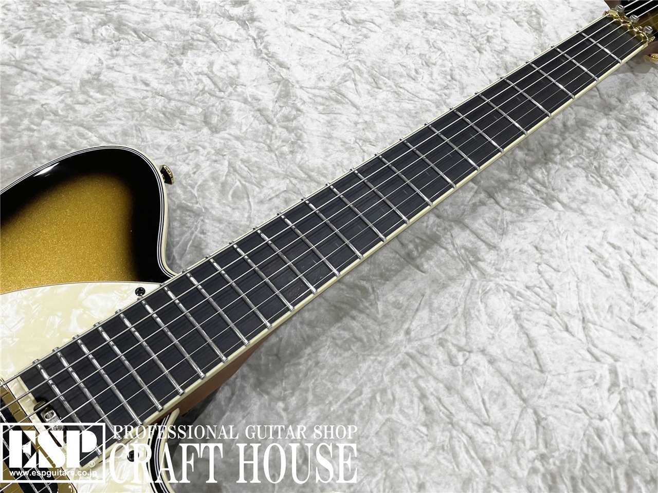 【即納可能】Balaguer Guitars / Thicket TM / Gloss Metallic Goldburst 　渋谷店 - 3