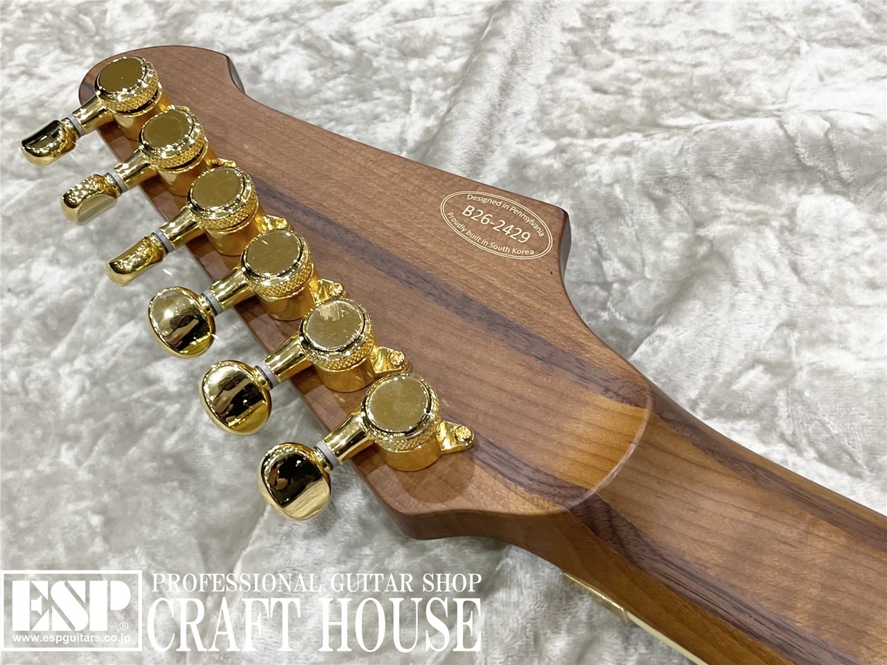 【即納可能】Balaguer Guitars / Thicket TM / Gloss Metallic Goldburst 　渋谷店 - 8