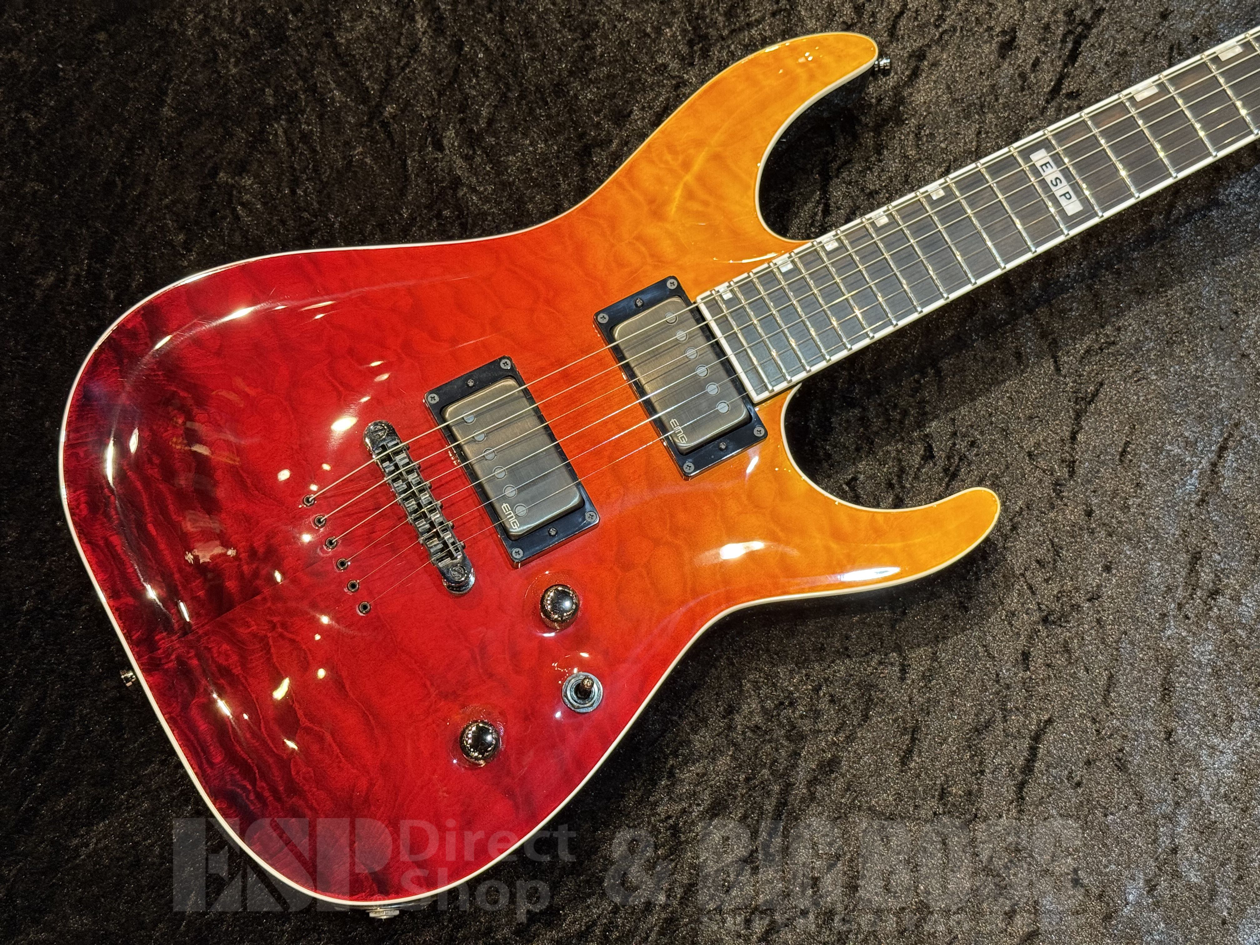 10月30発送ソニック800、ネオアース800