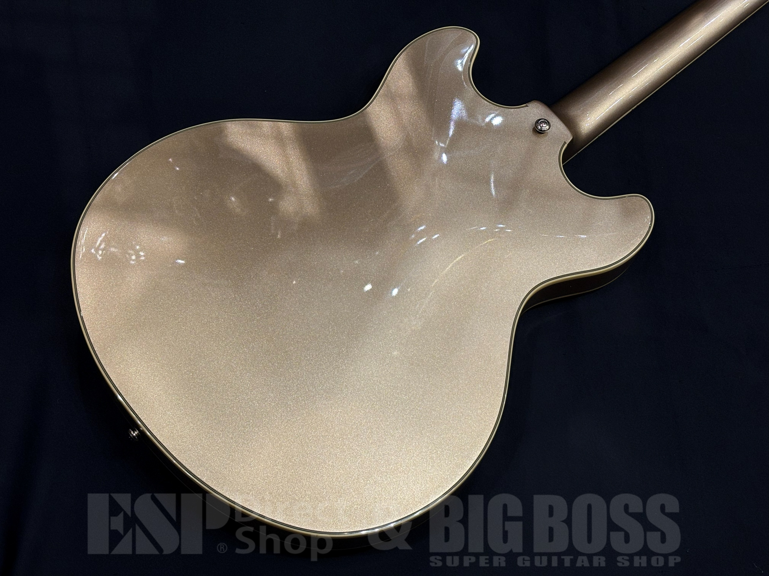 【即納可能】D'Angelico(ディアンジェリコ) Premier DC / Desert Gold 大阪店