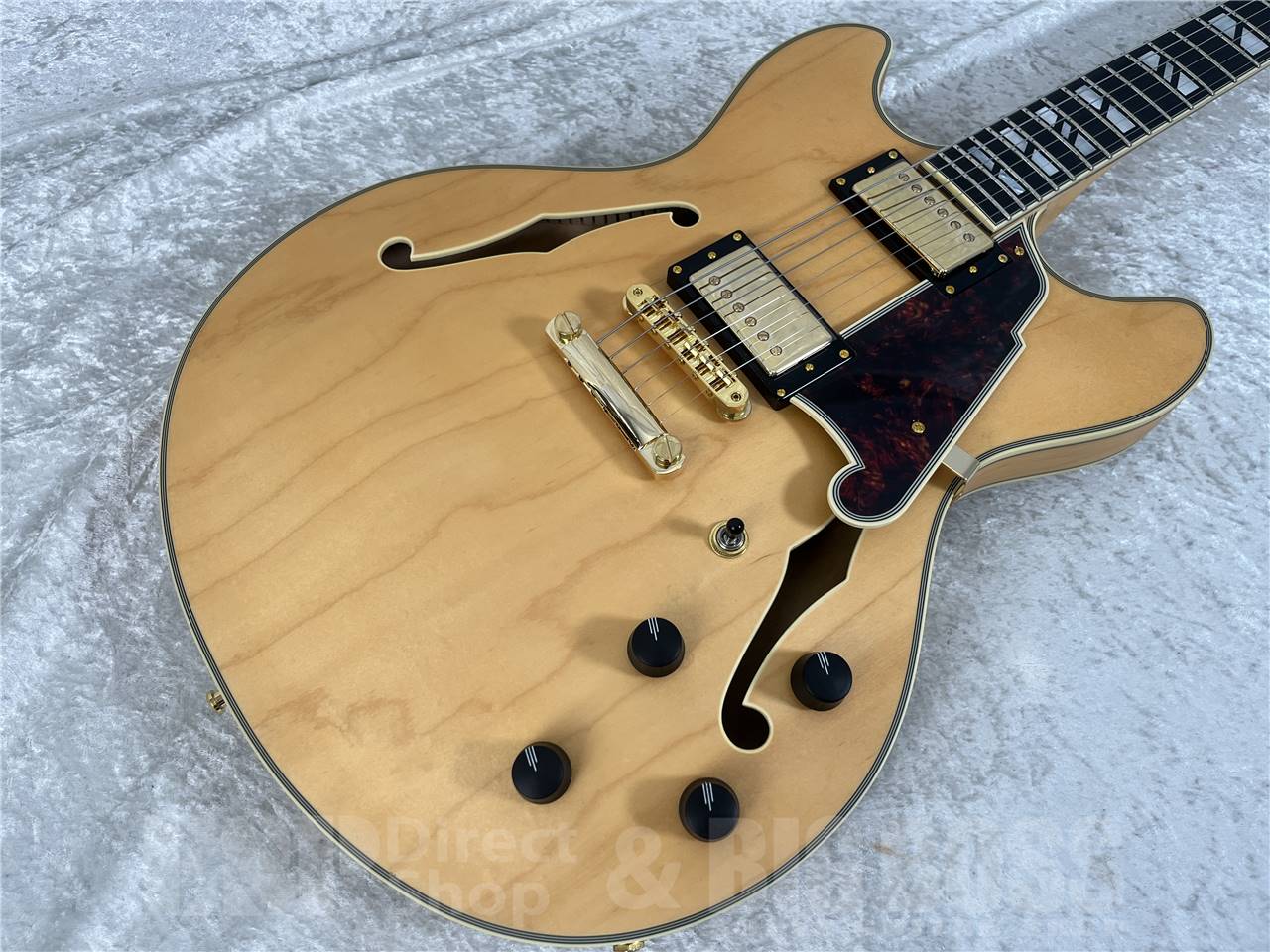 D'Angelico(ディアンジェリコ) Deluxe DC Satin Honey (セミアコ)お茶の水駅前店・別館 - 2