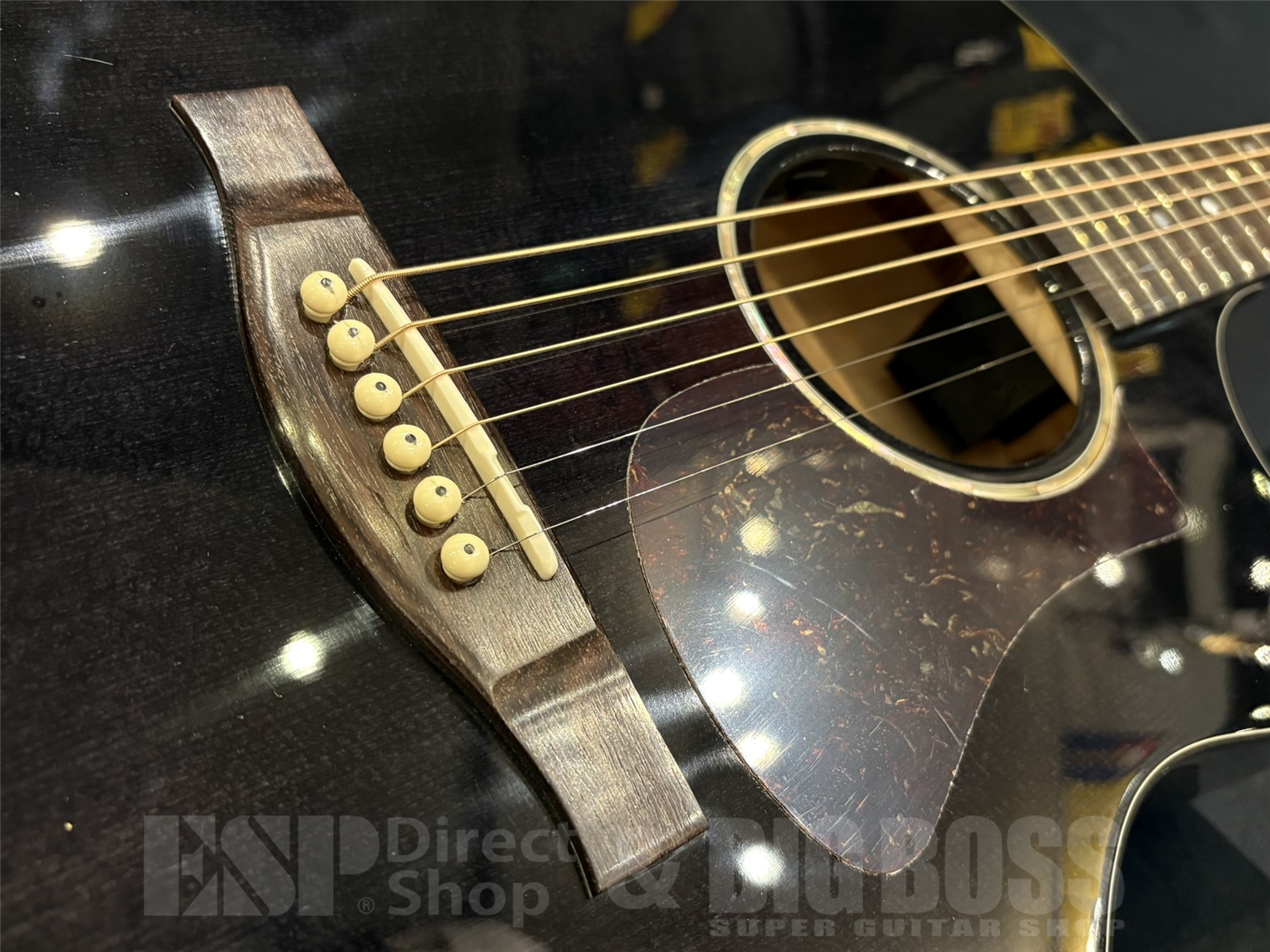 【即納可能】Eastman(イーストマン) PCH3-GACE-TBK / Trance Black 京都店 - 3