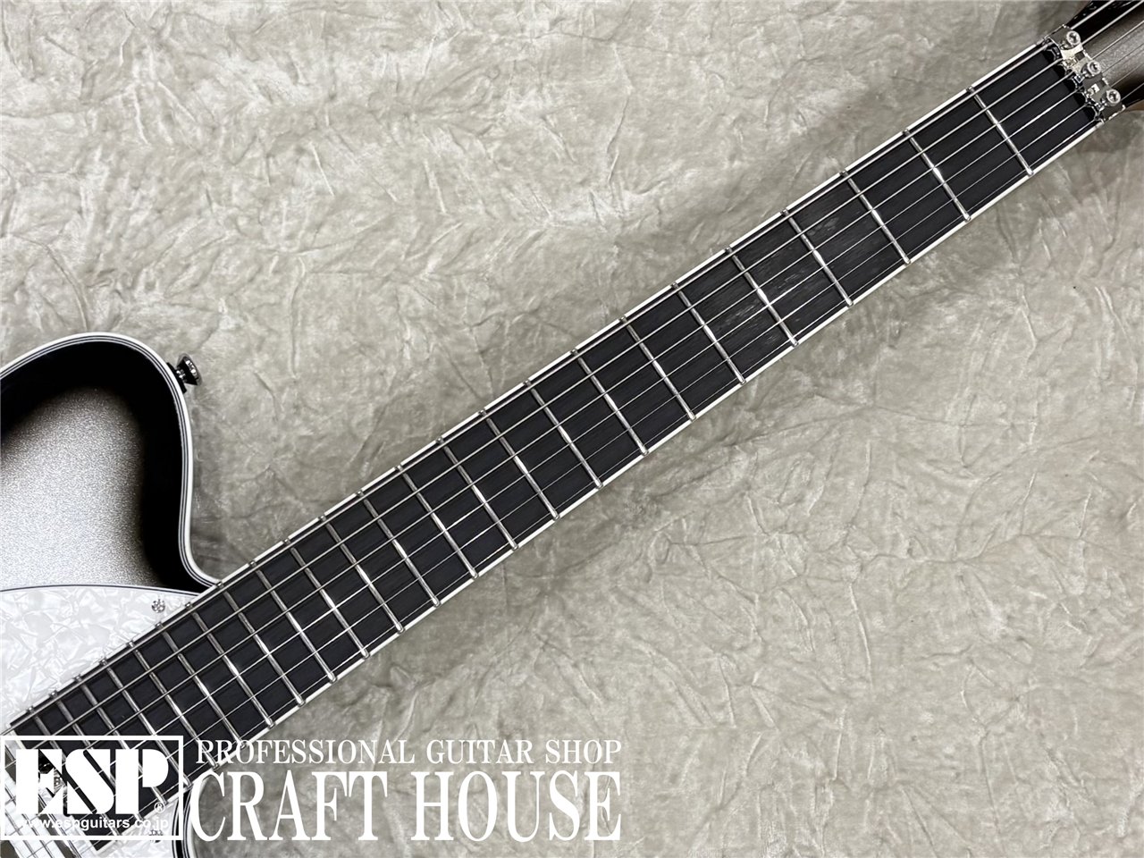 【即納可能】Balaguer Guitars / Thicket TM / Gloss Metallic Silverburst 　渋谷店 - 3