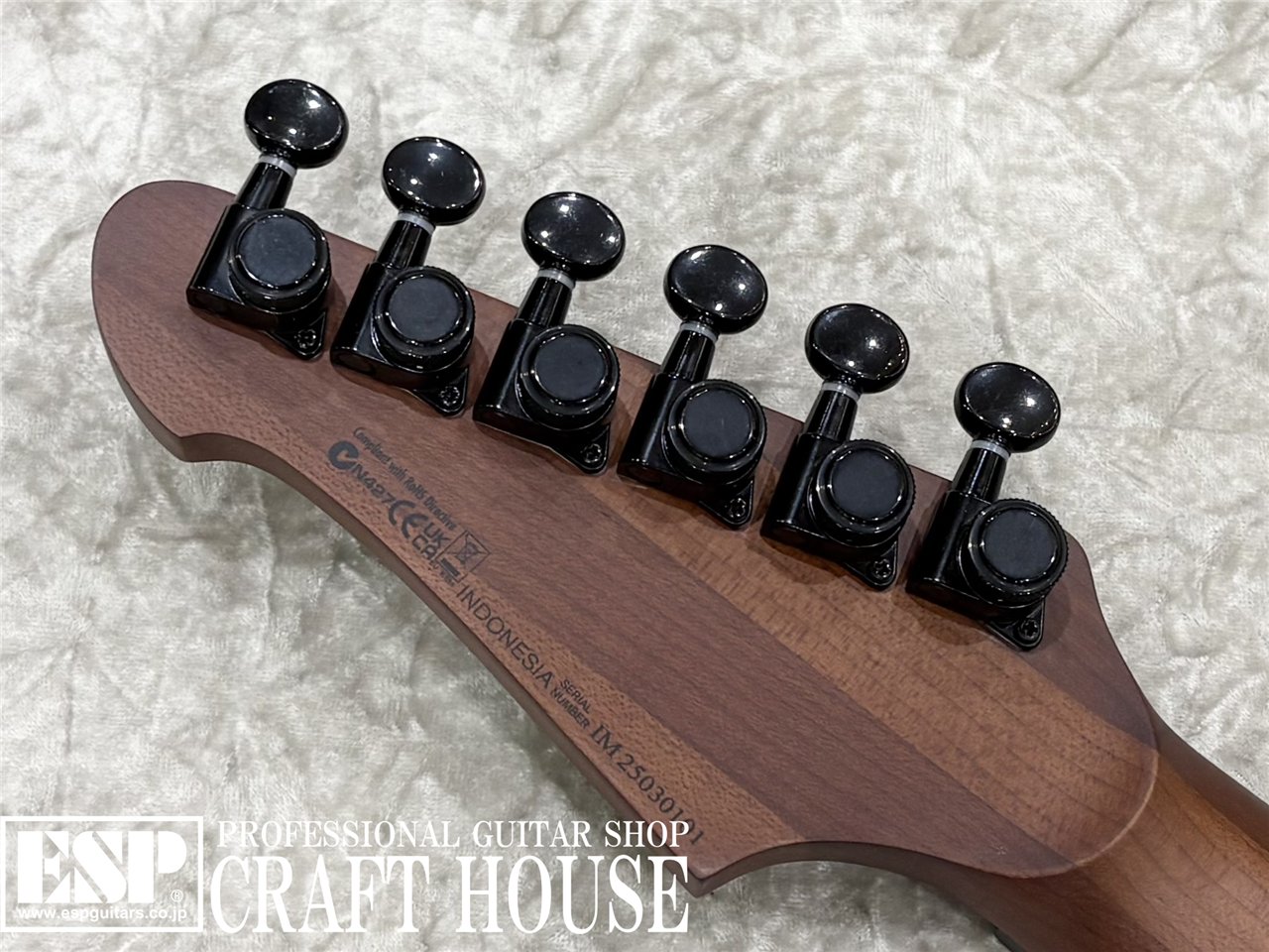 【即納可能】Balaguer Guitars Espada 2024 Limited Select / Gloss Metallic Charcoal 渋谷店 - 8