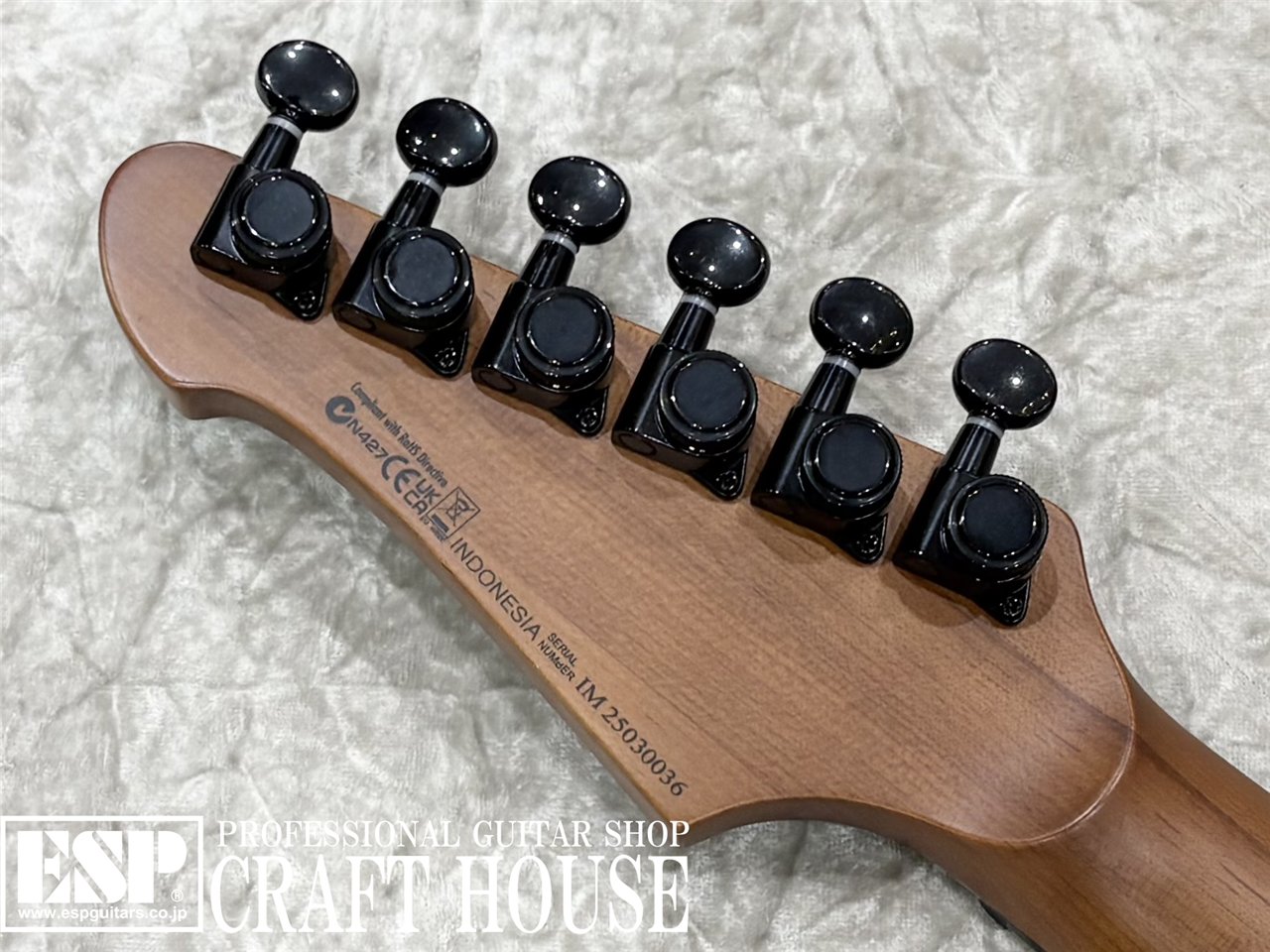 【即納可能】Balaguer Guitars Espada 2024 Limited Select / Gloss Sky Blue 渋谷店 - 8
