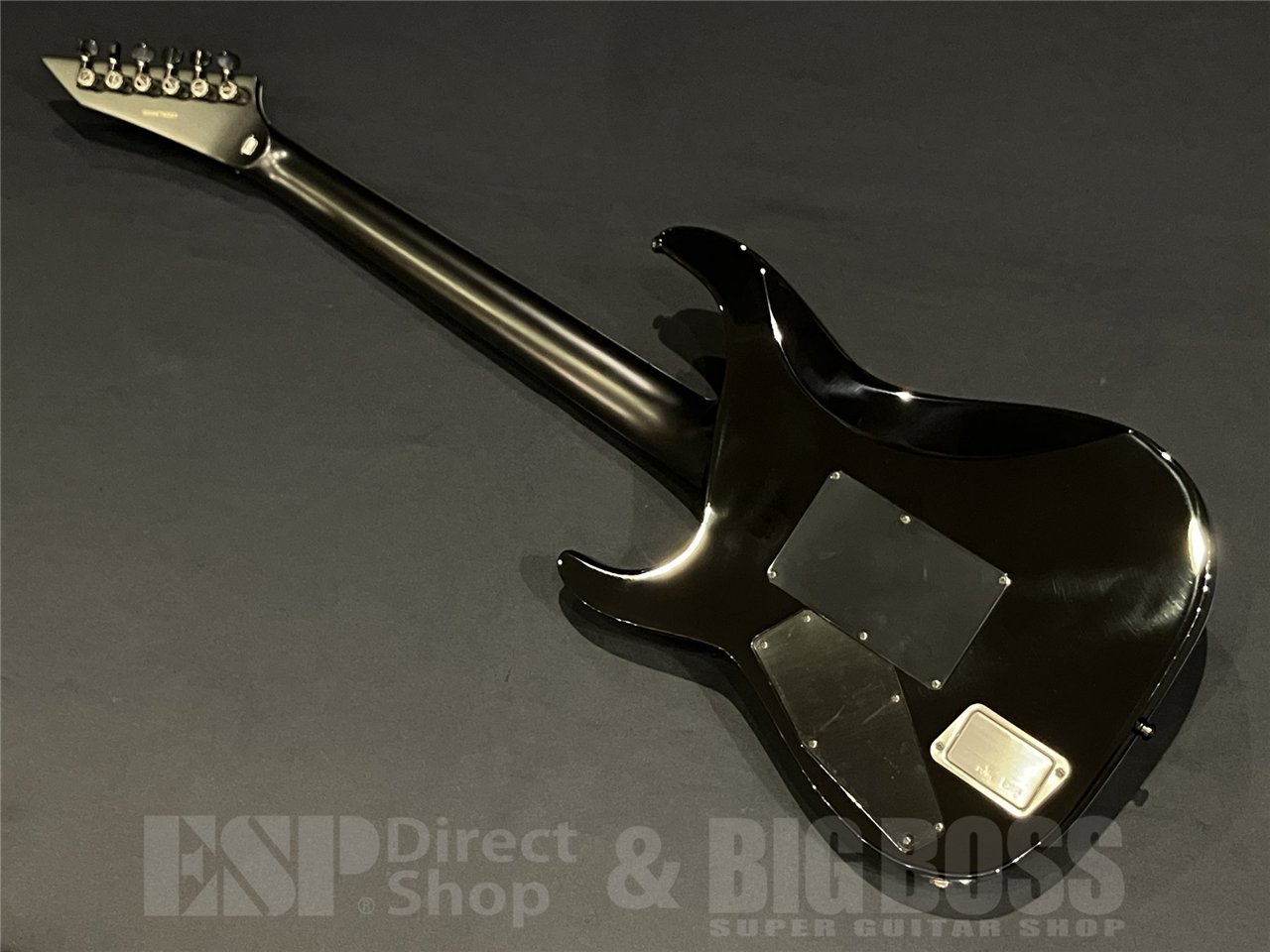 【即納可能】 E-II(イーツー) HORIZON FR-II / Tiger Eye Sunburst 京都店