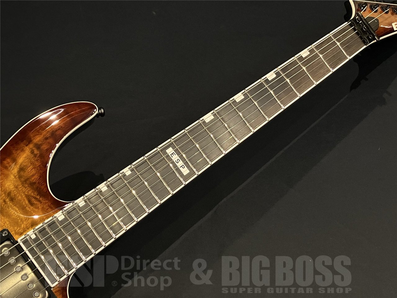 【即納可能】 E-II(イーツー) HORIZON FR-II / Tiger Eye Sunburst 京都店