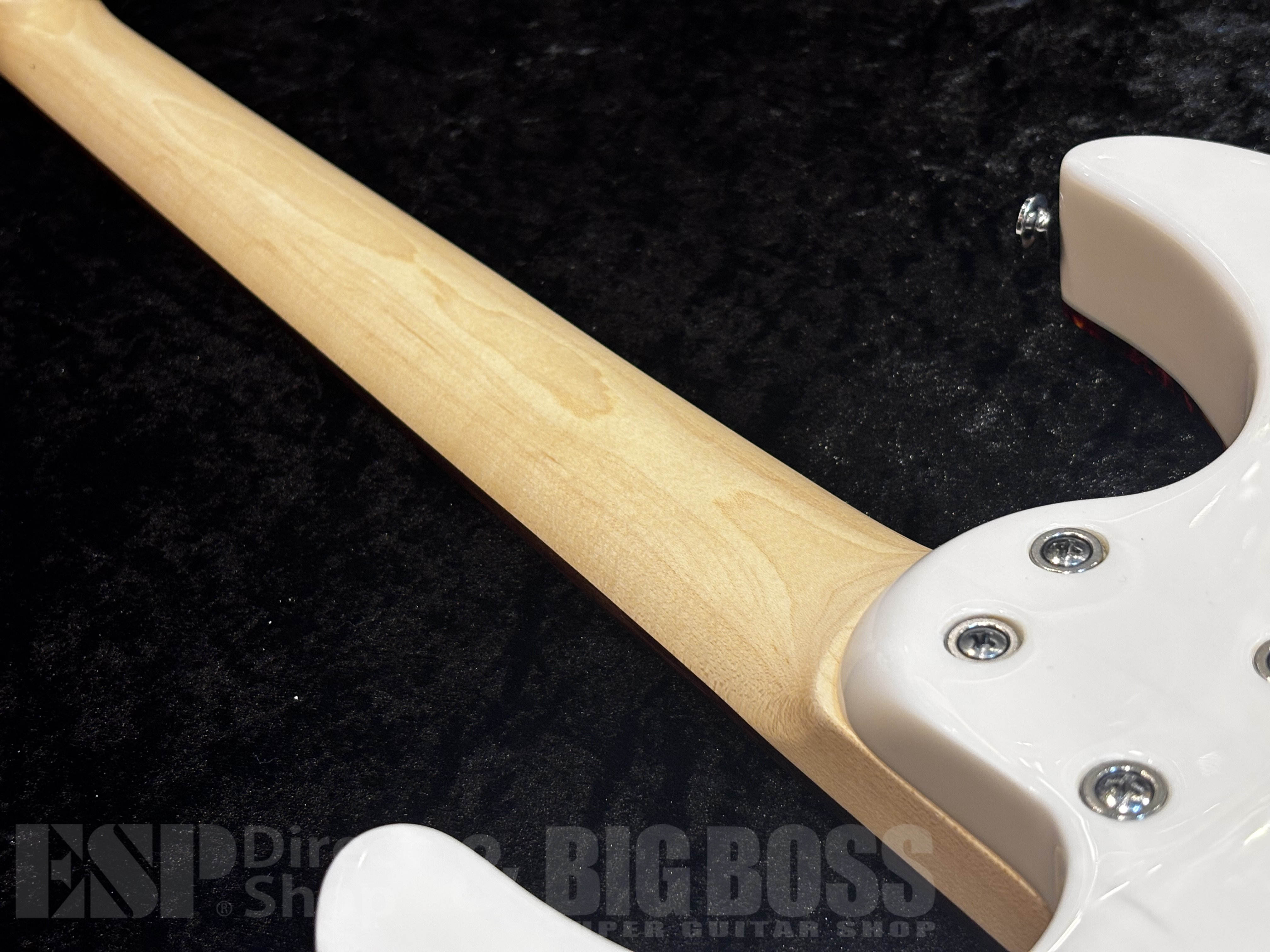 【 即納可能】 SCHECTER（シェクター）OL-NV-HL【See Thru White】福岡店【新春初売りお年玉セール対象商品】