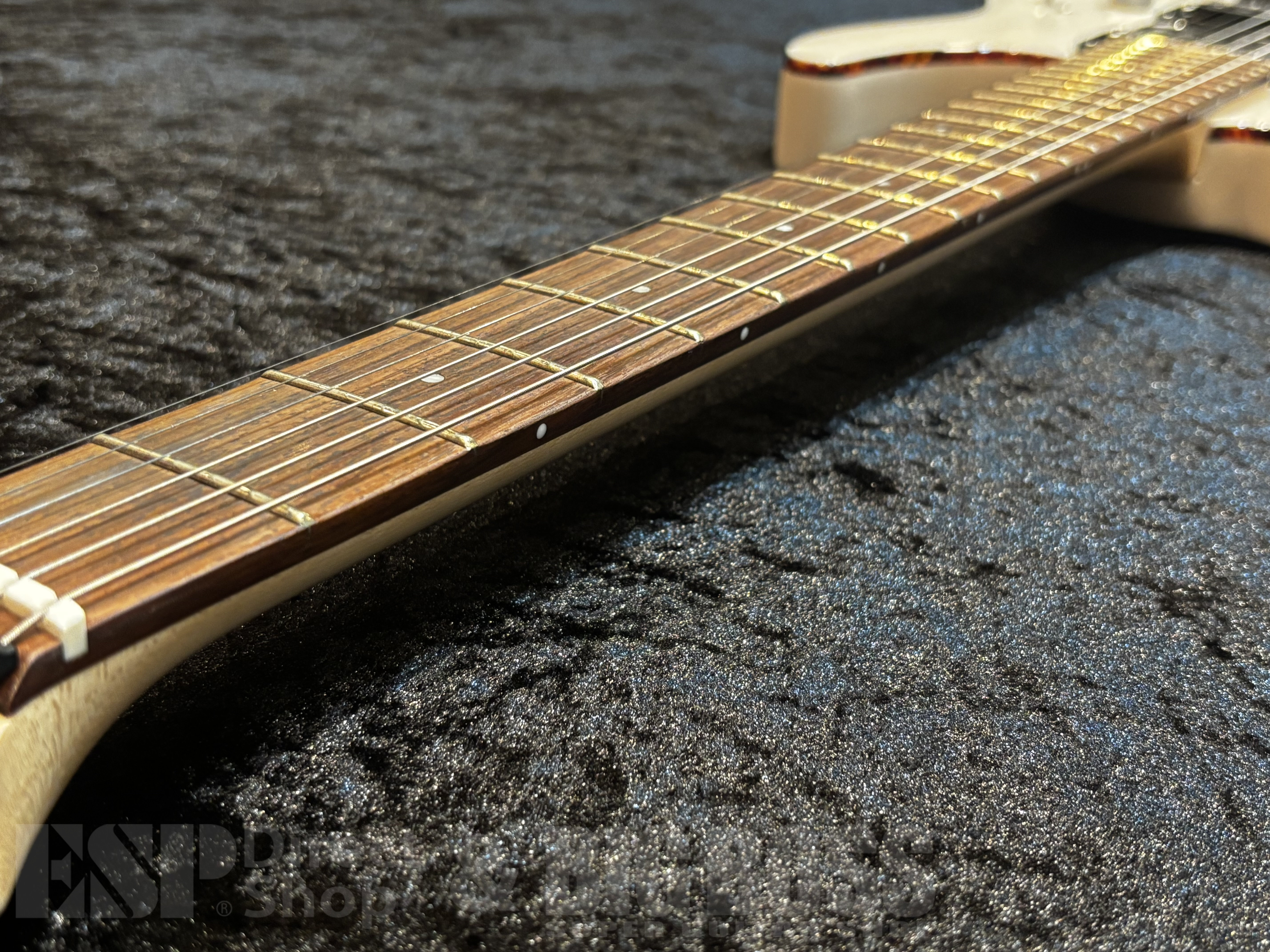 【 即納可能】 SCHECTER（シェクター）OL-NV-HL【See Thru White】福岡店【新春初売りお年玉セール対象商品】