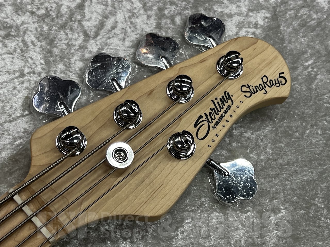 【即納可能】Sterling by MUSIC MAN SUB RAY5 (Black) 広島店