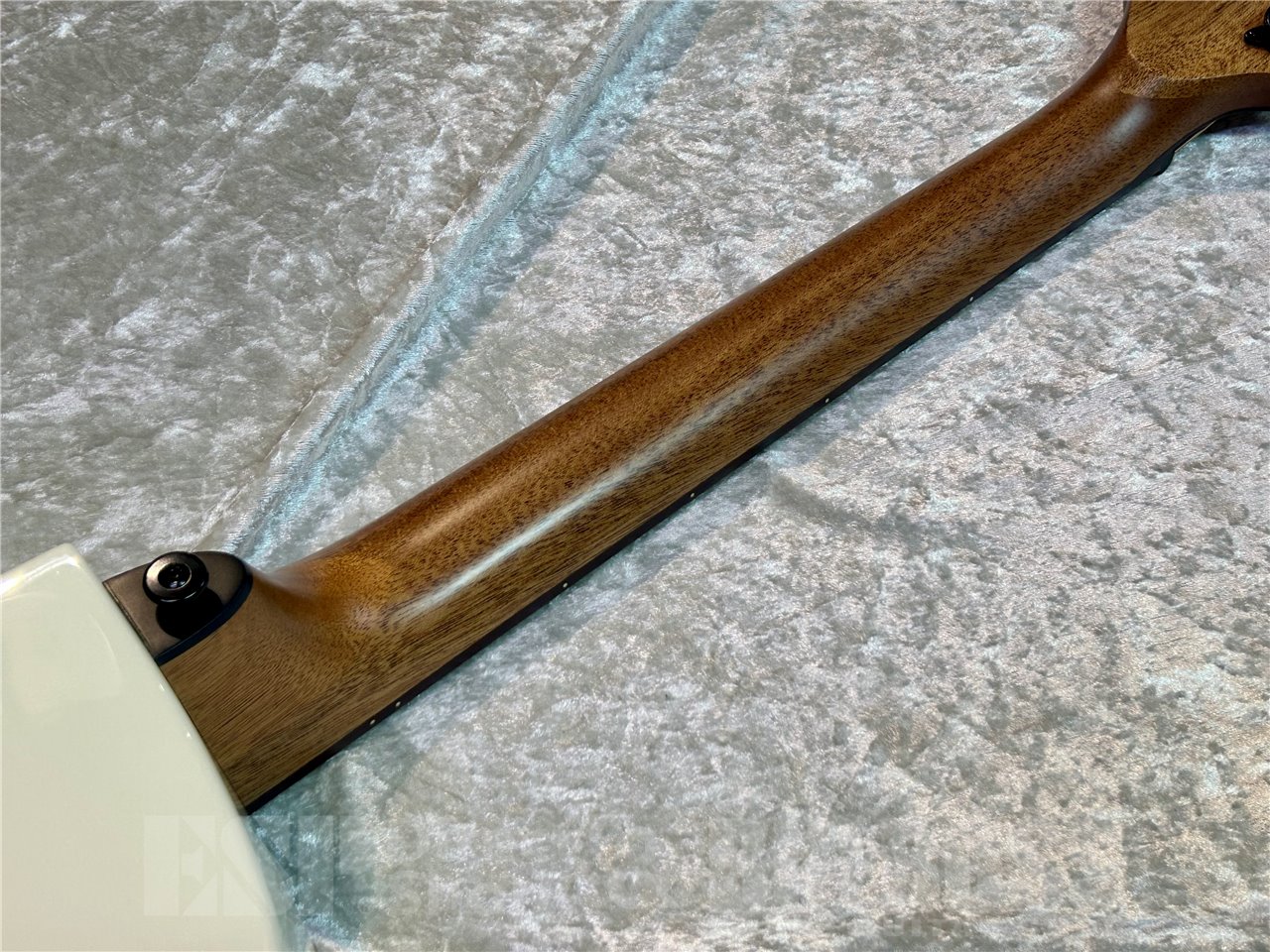 【即納可能】LAG Guitars(ラグギターズ) T118ASCE-IVO 広島店