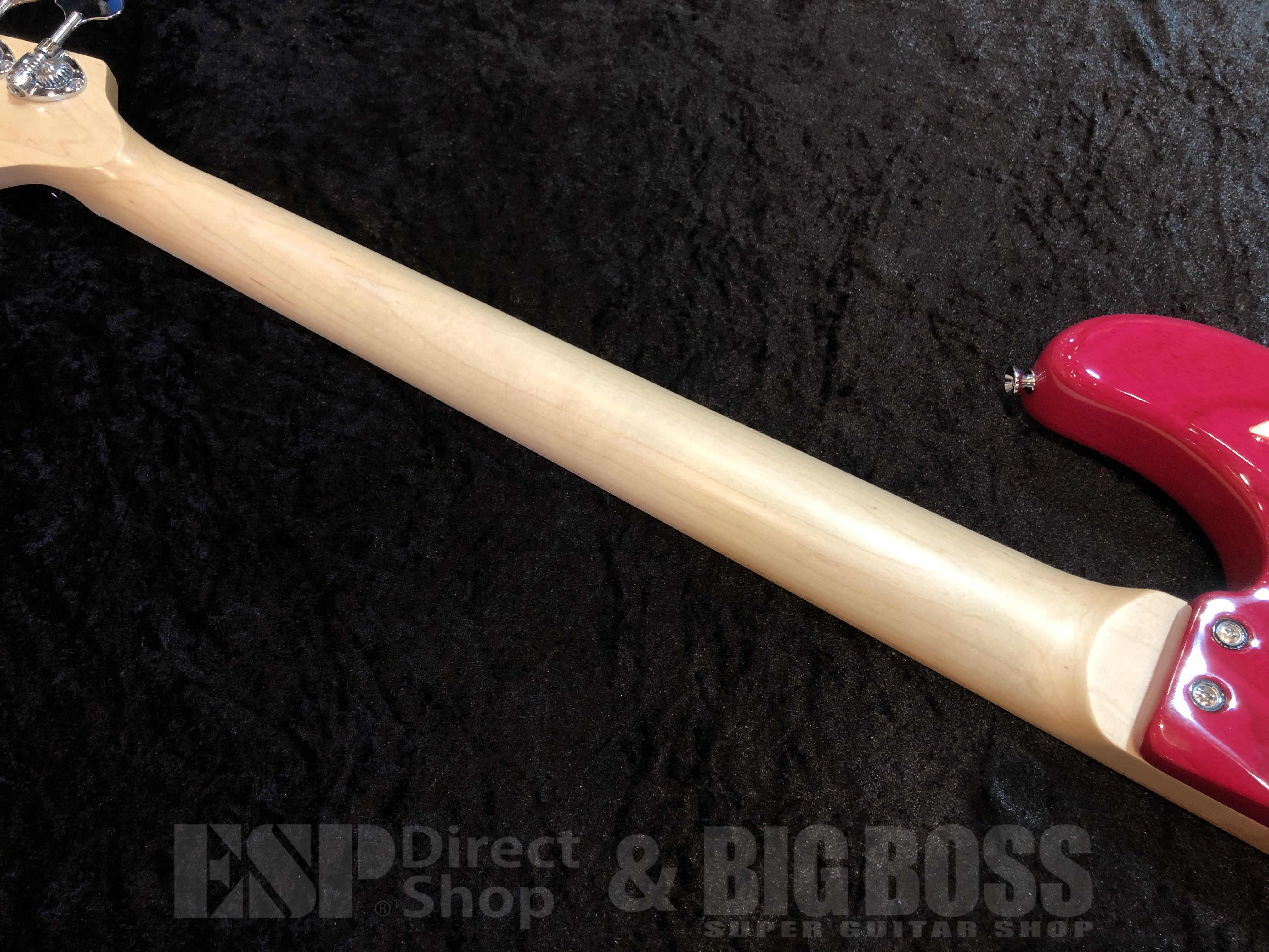 【即納可能】 STELLA GEAR （ステラギア） Bardic-DL 【See Thru Pink】 福岡店