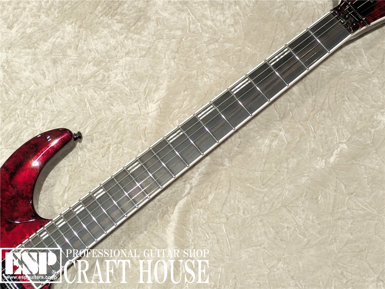 【即納可能】EDWARDS E-HORIZON-I / Volcano Red 渋谷店【BIGBOSS ONLINE MARKET限定モデル】 - 3