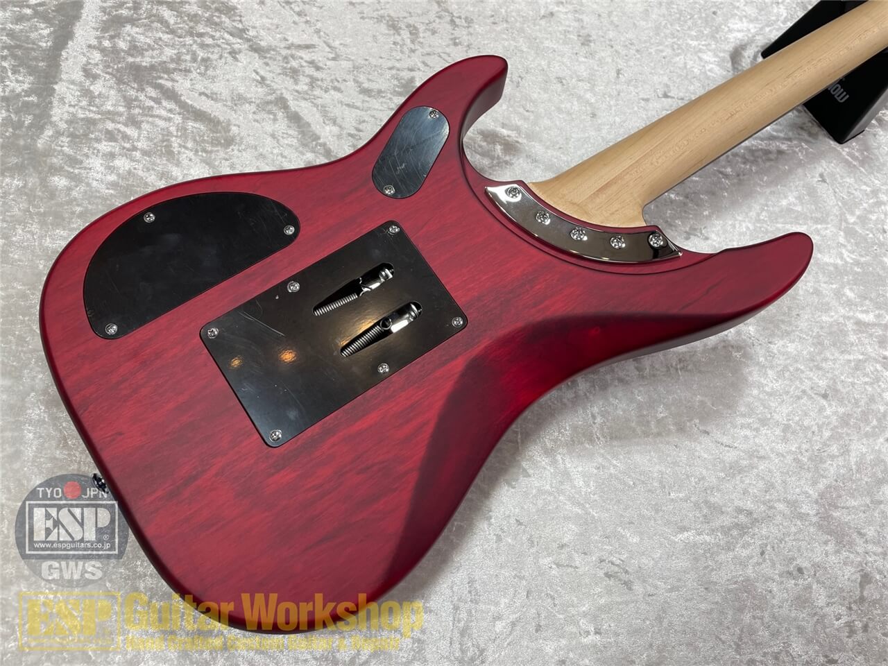 Washburn N24-NUNO VINTAGE PADAUK GWS