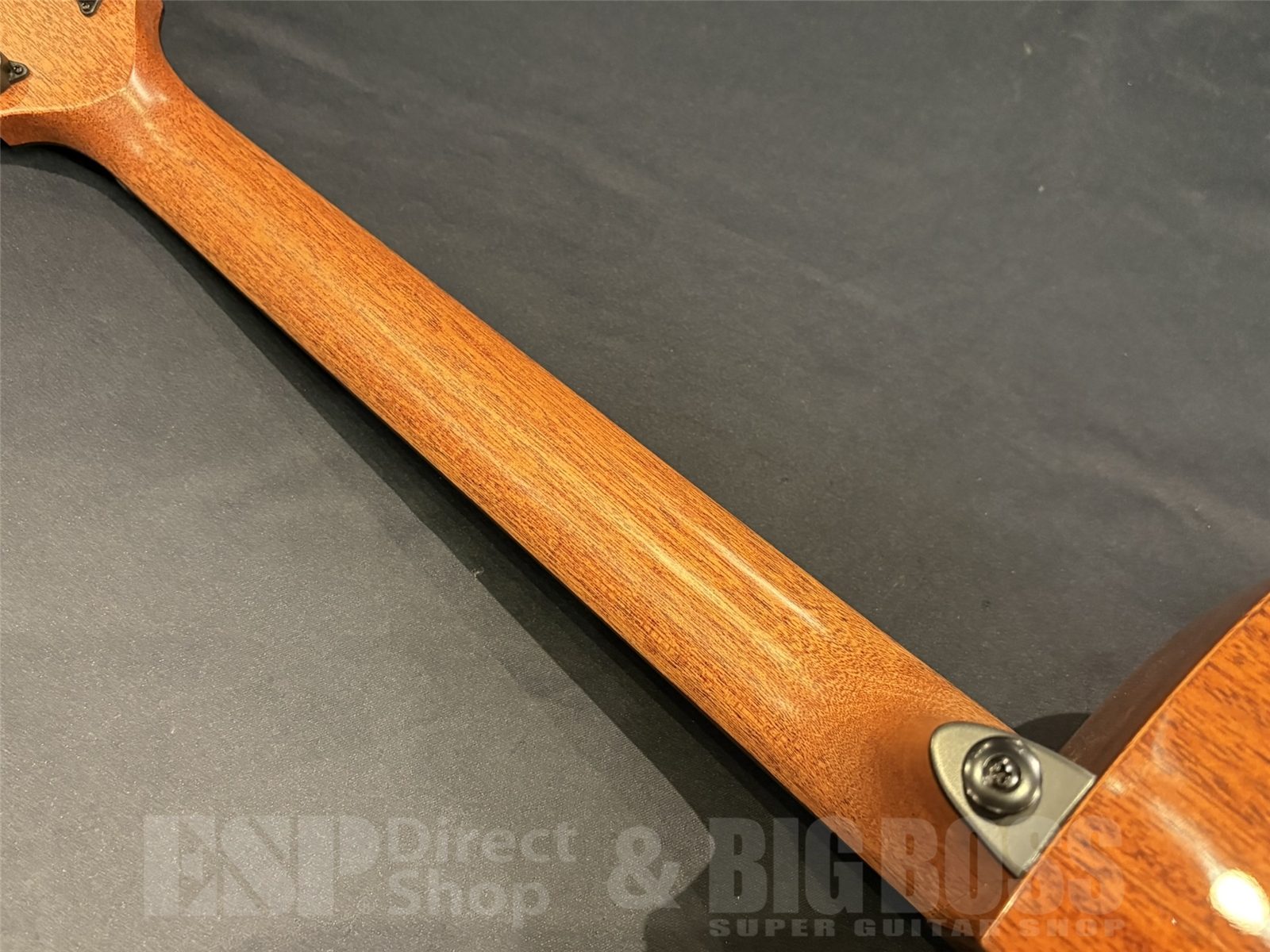 【即納可能】LAG Guitars(ラグギターズ) T88ACE / Natural 京都店 - 10