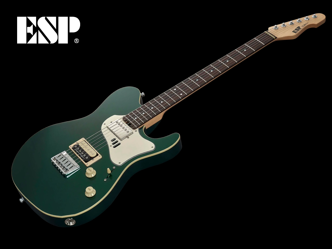 【受注生産】ESP(イーエスピー) THROBBER-STD (Dark Metallic Green)