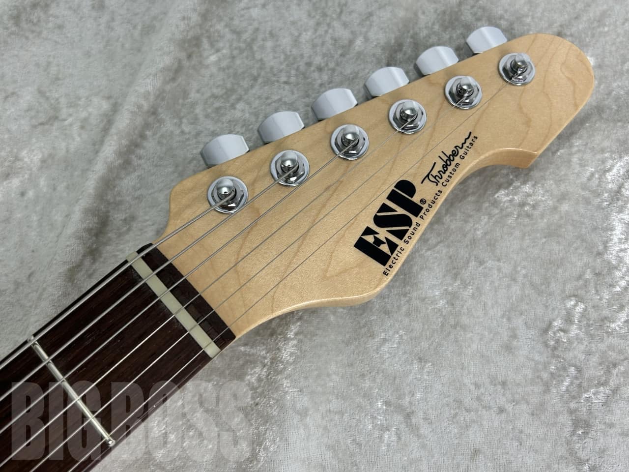 【受注生産】ESP(イーエスピー) THROBBER-STD (Smorky Brown)