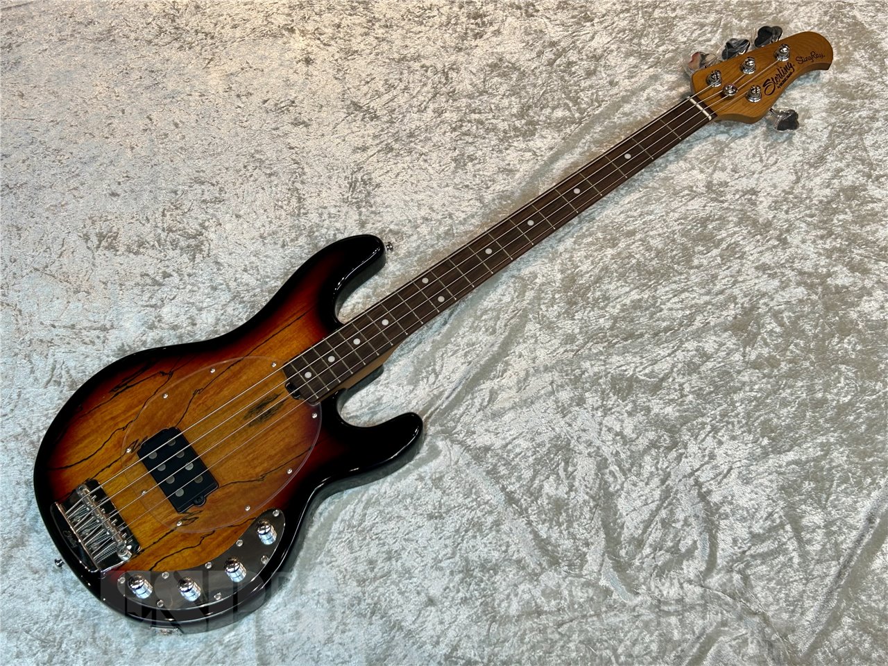 Sterling by MUSICMAN - 【ESP直営】BIGBOSS オンライン