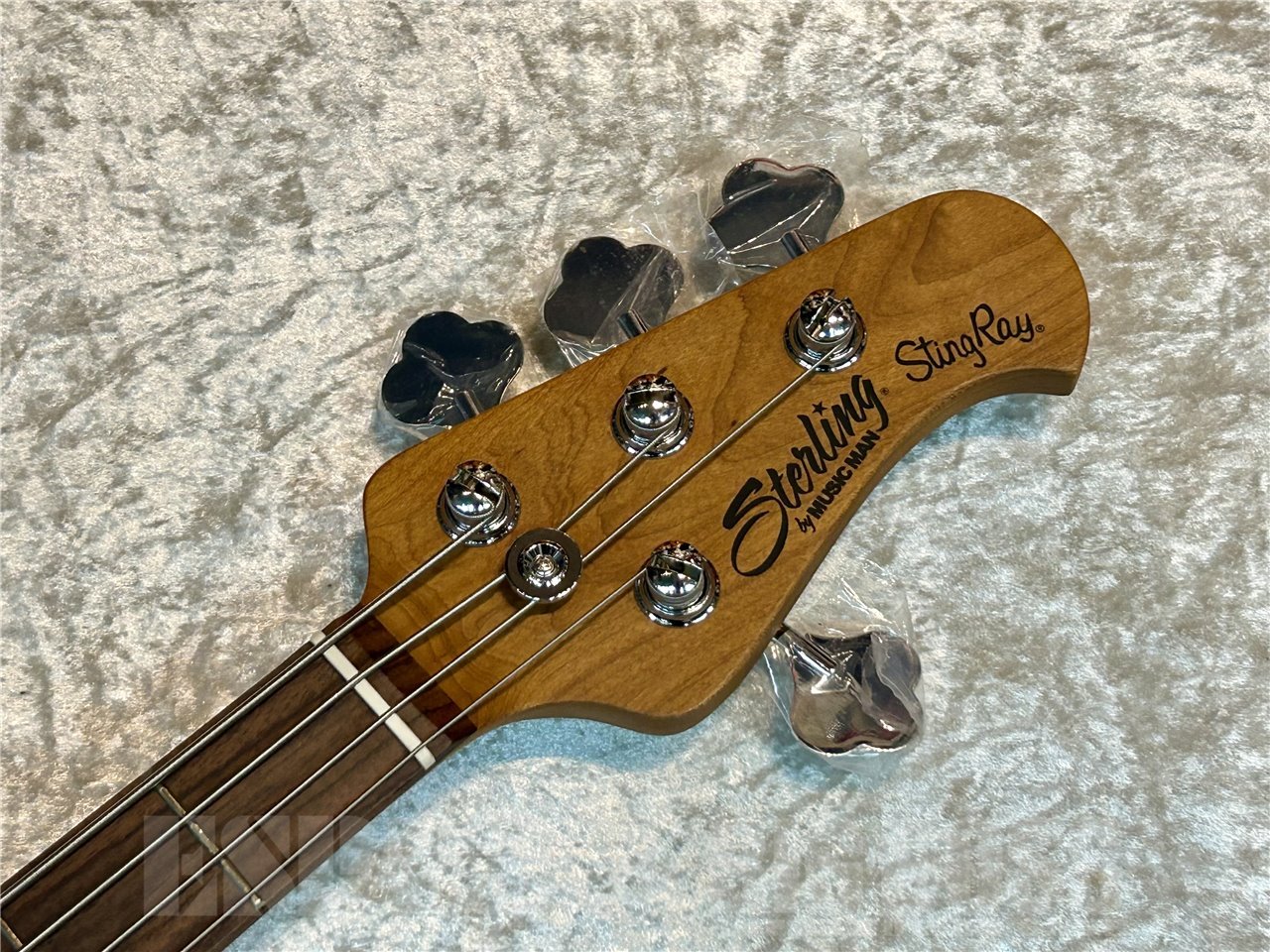 【即納可能】Sterling by MUSIC MAN(スターリンバイミュージックマン) RAY34 (Dorado Green)広島店