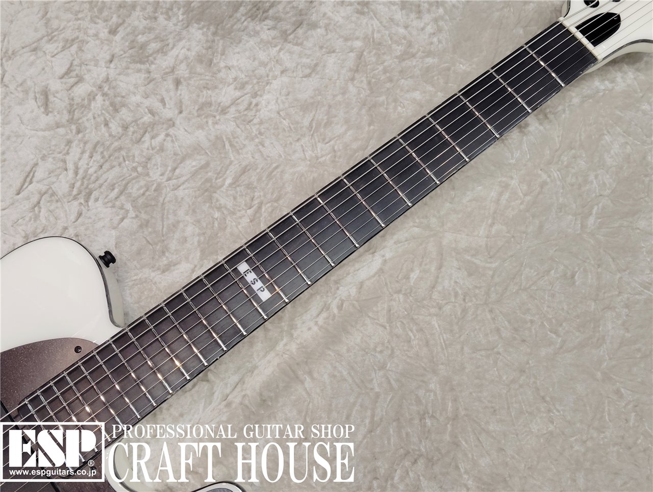 【即納可能】E-II T-B7 / Snow White 渋谷店