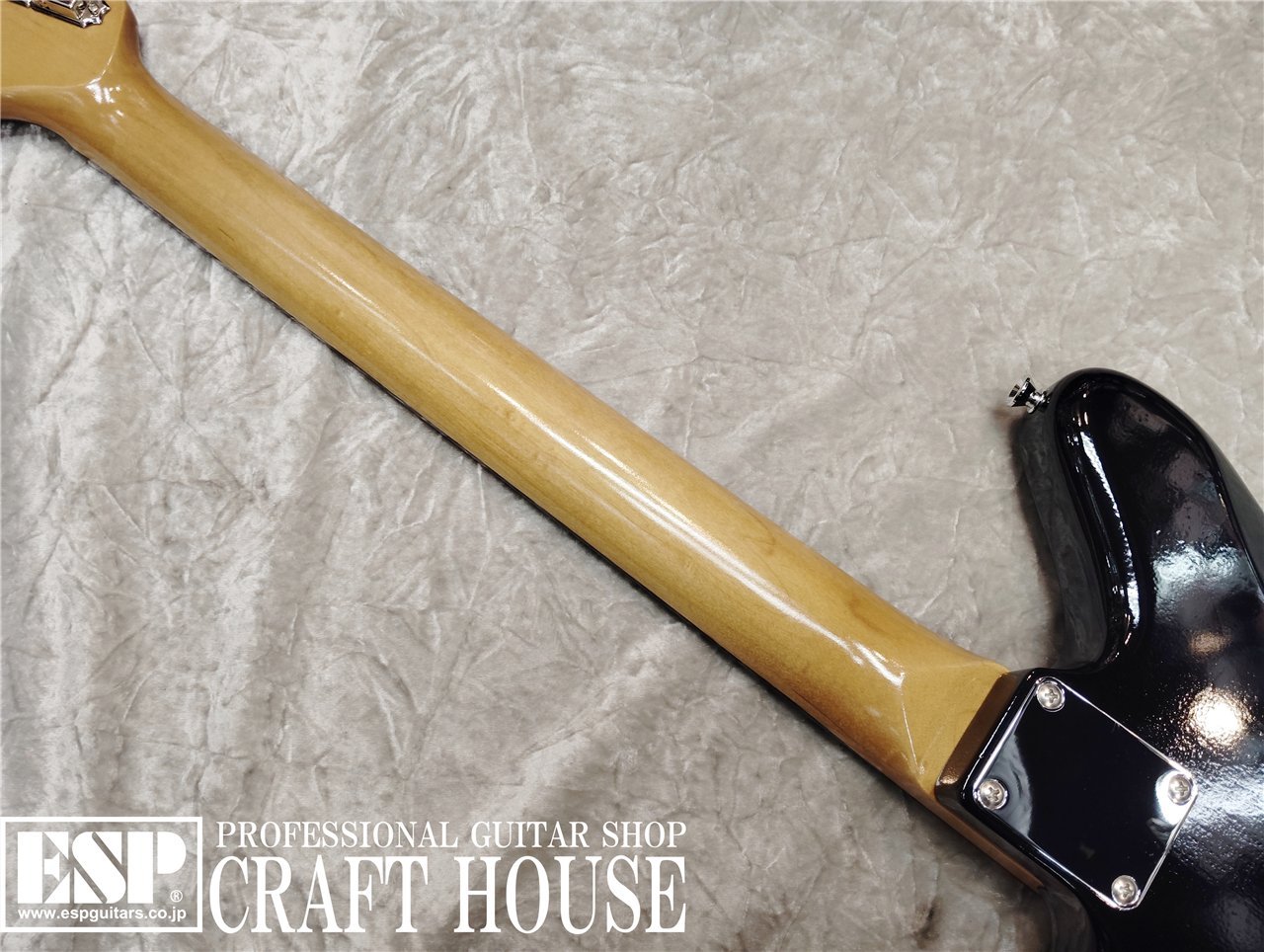 【即納可能】EDWARDS Platinum Edition E-JG SGZ Custom -JGM- / Black 渋谷店