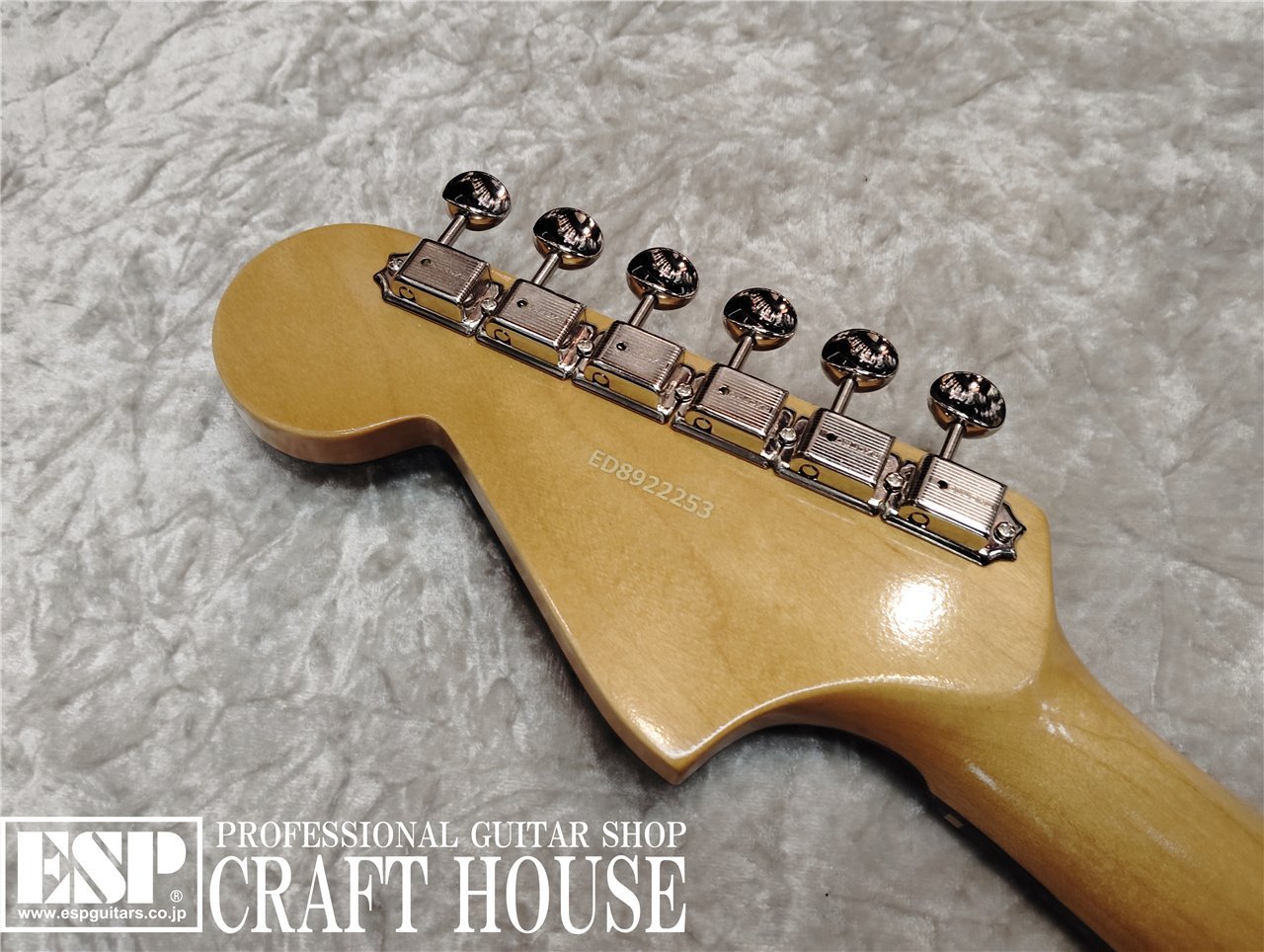 【即納可能】EDWARDS Platinum Edition E-JG SGZ Custom -JGM- / Black 渋谷店