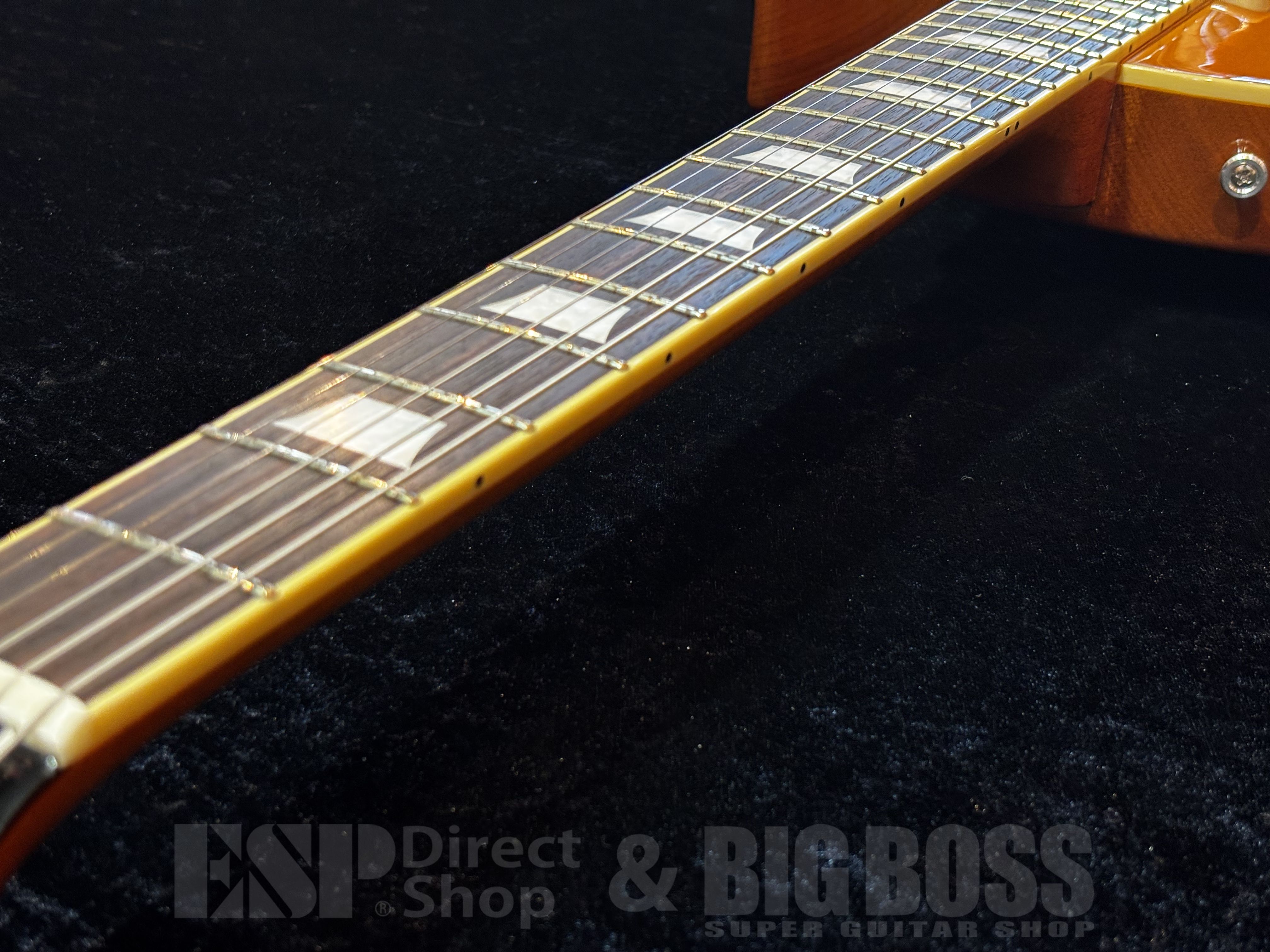 【即納可能】EDWARDS（エドワーズ）E-LP-STD/P【Gold Top】福岡店