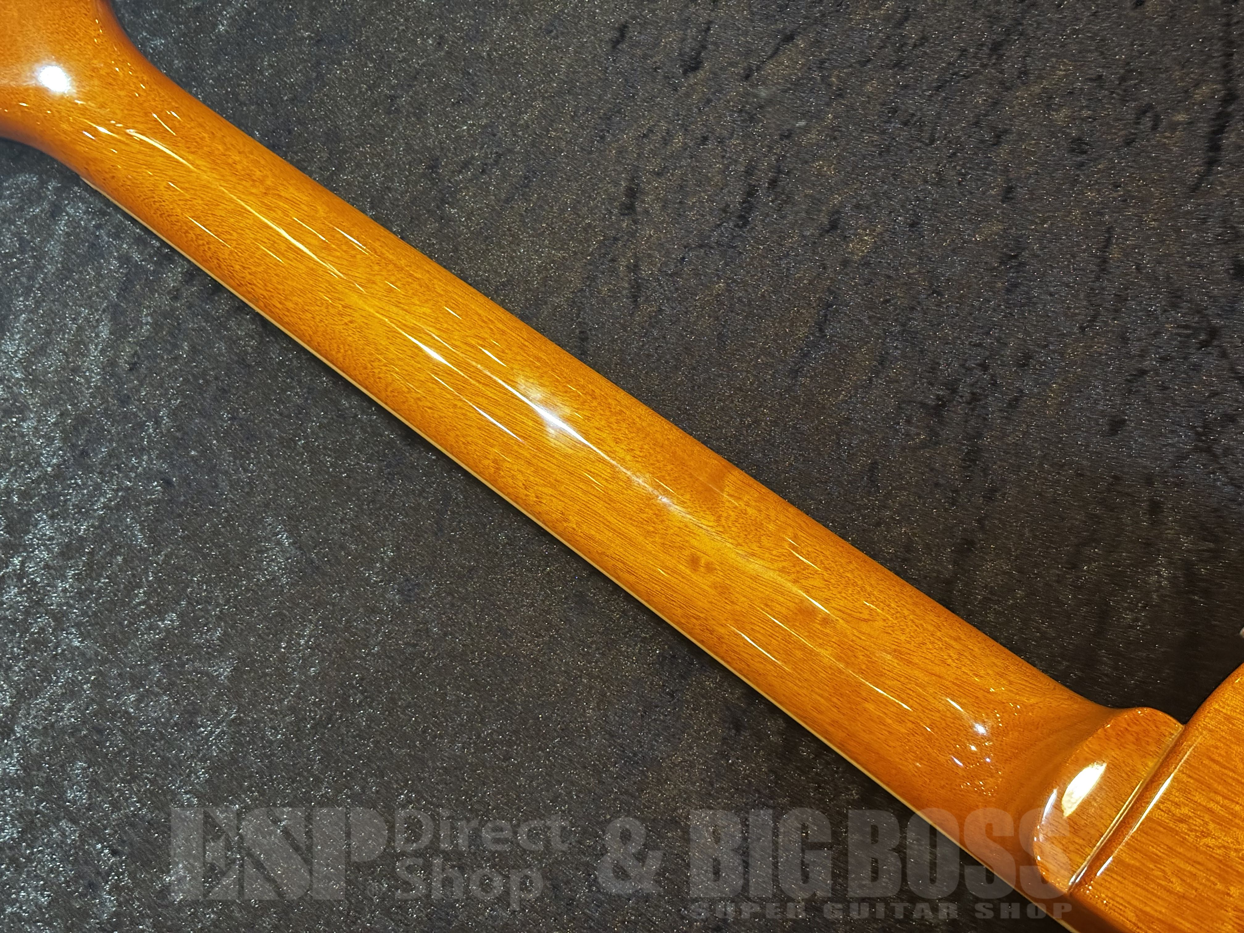 【即納可能】EDWARDS（エドワーズ）E-LP-STD/P【Gold Top】福岡店