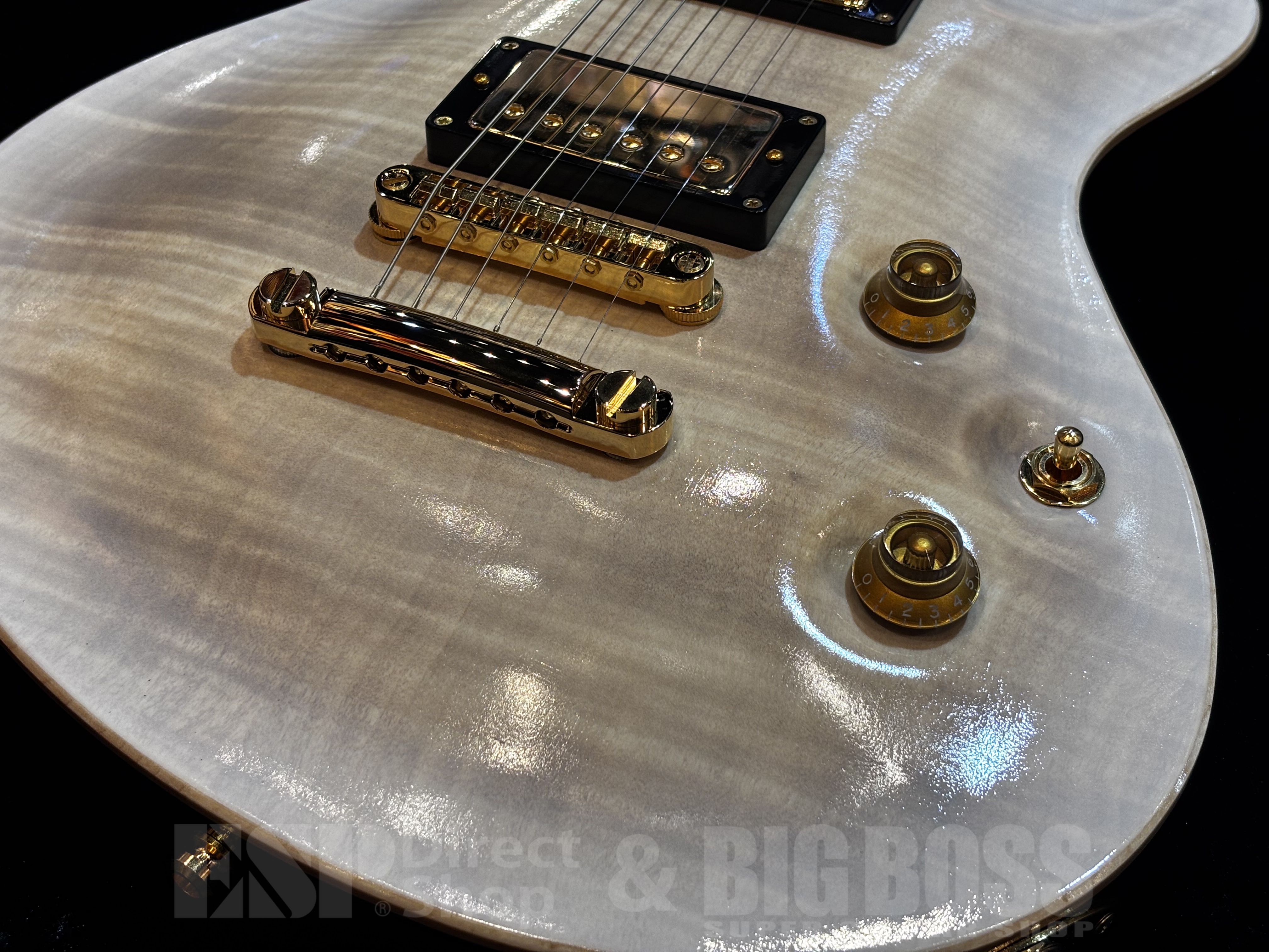 Edwards ギター（ビッグボス購入品） E-MYSTIQUE_ec.png