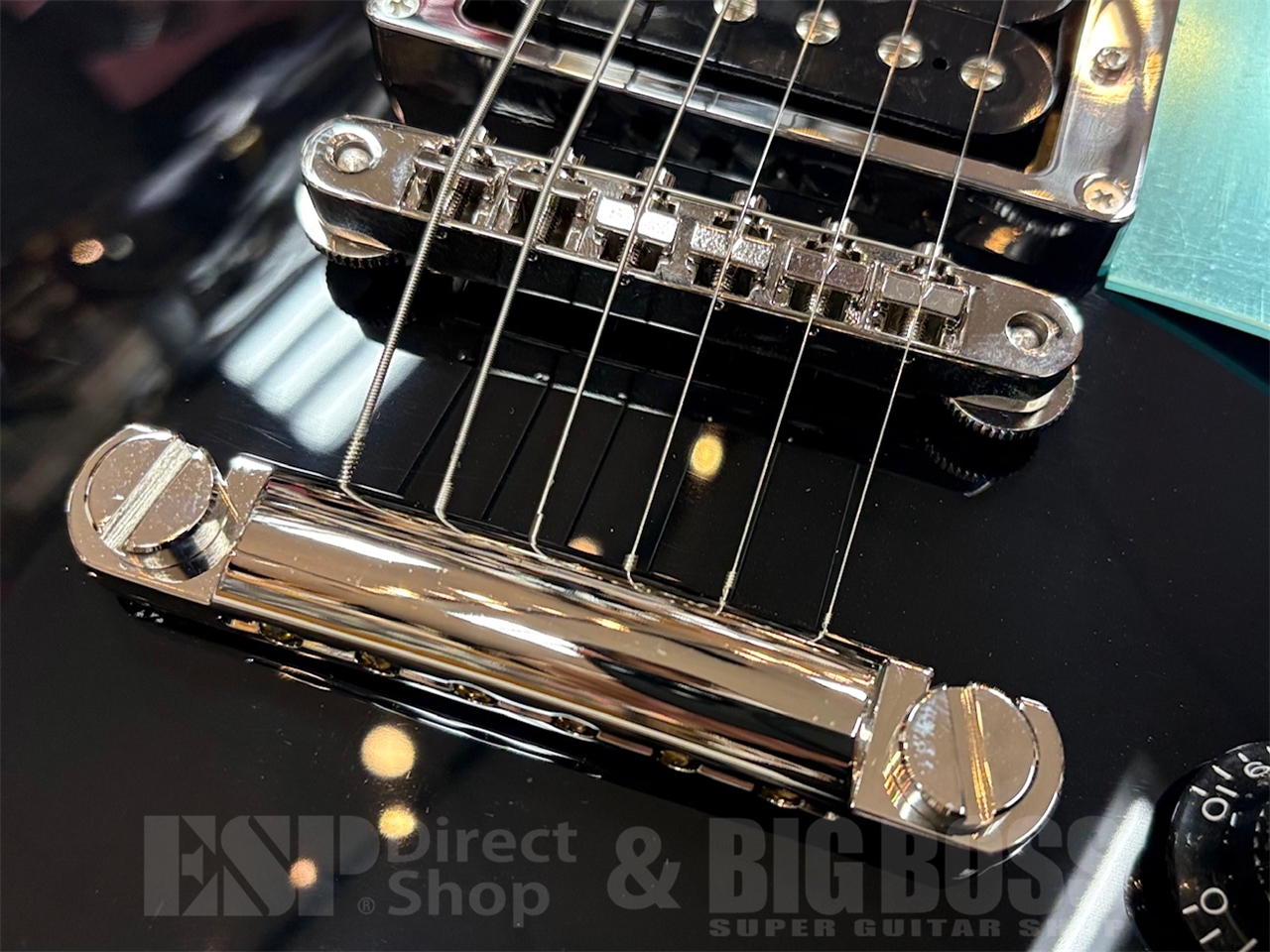 【即納可能】EDWARDS(エドワーズ) E-LP-CTM / JS GWS