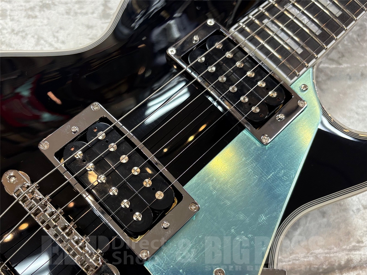 【即納可能】EDWARDS(エドワーズ) E-LP-CTM / JS GWS