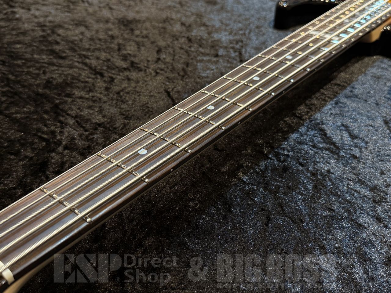 【即納可能】 E-II (イーツー) AP-5【Tobacco Sunburst】 福岡店