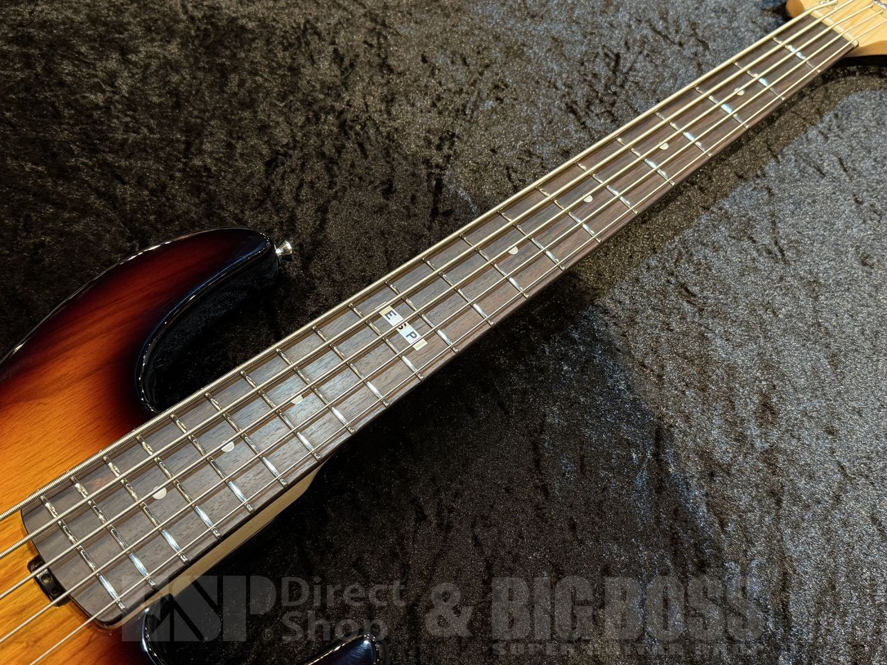 【即納可能】 E-II (イーツー) AP-5【Tobacco Sunburst】 福岡店