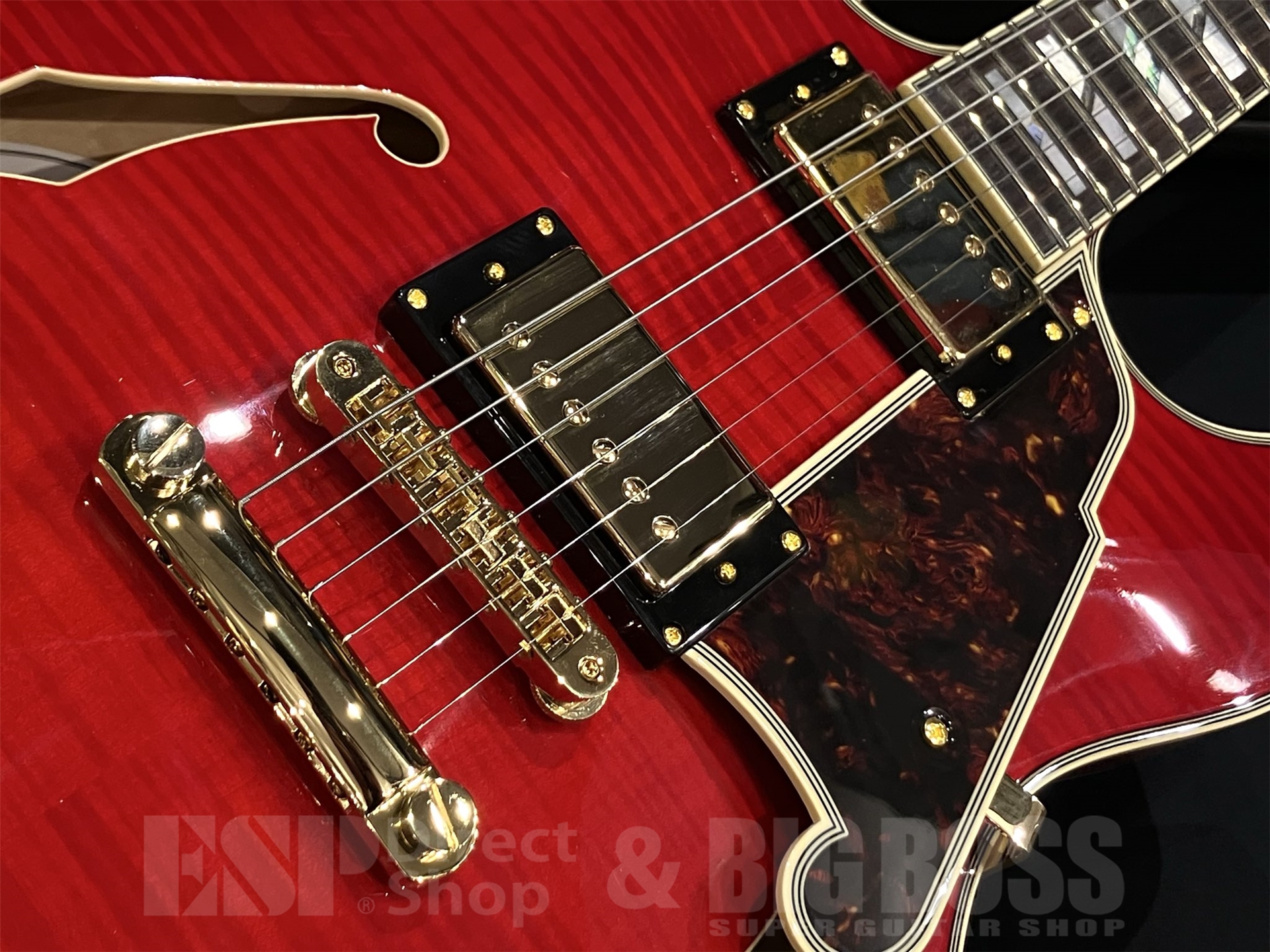 【即納可能】D'Angelico Excel DC / Trans Cherry 京都店